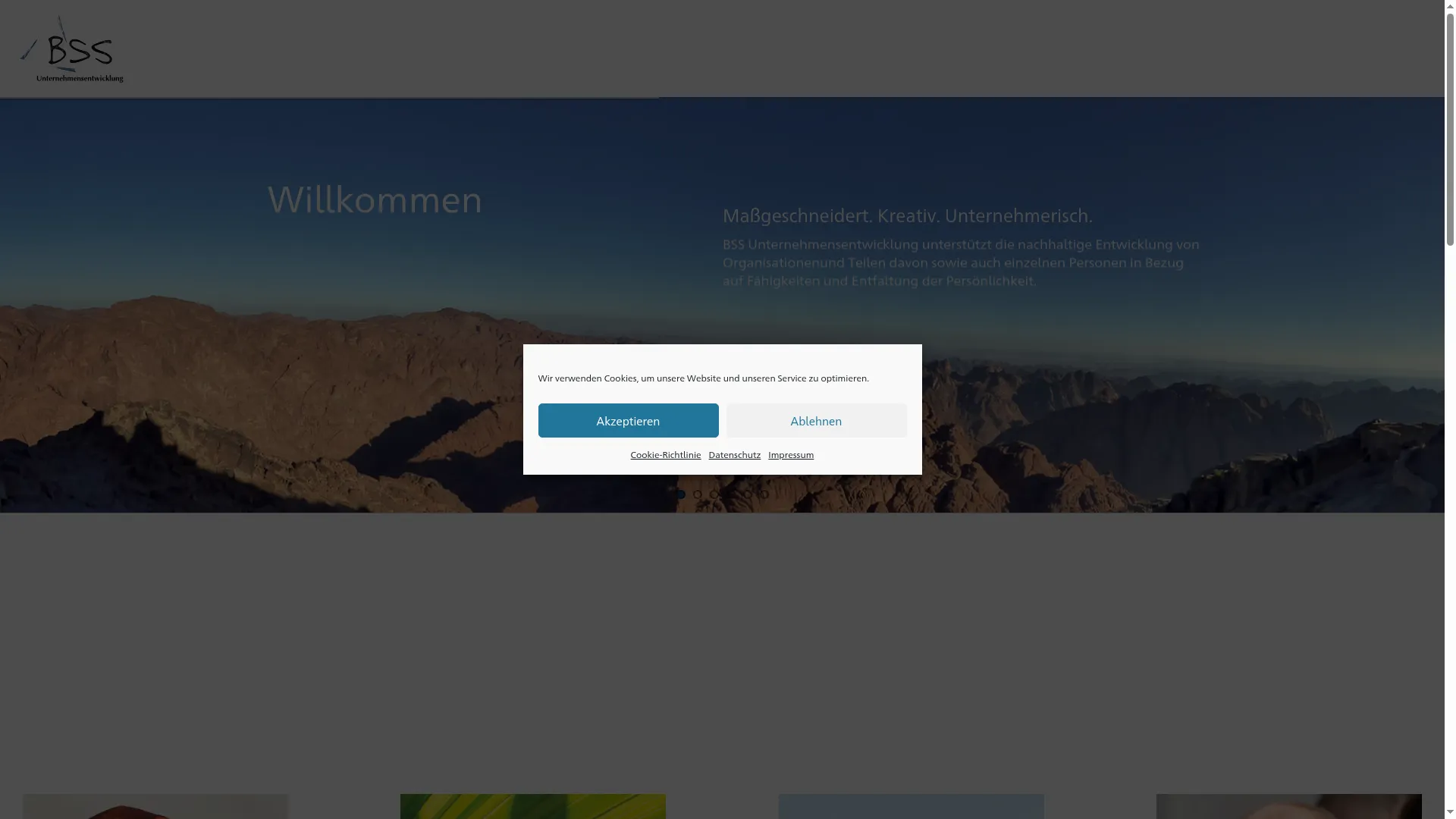 Bss.de