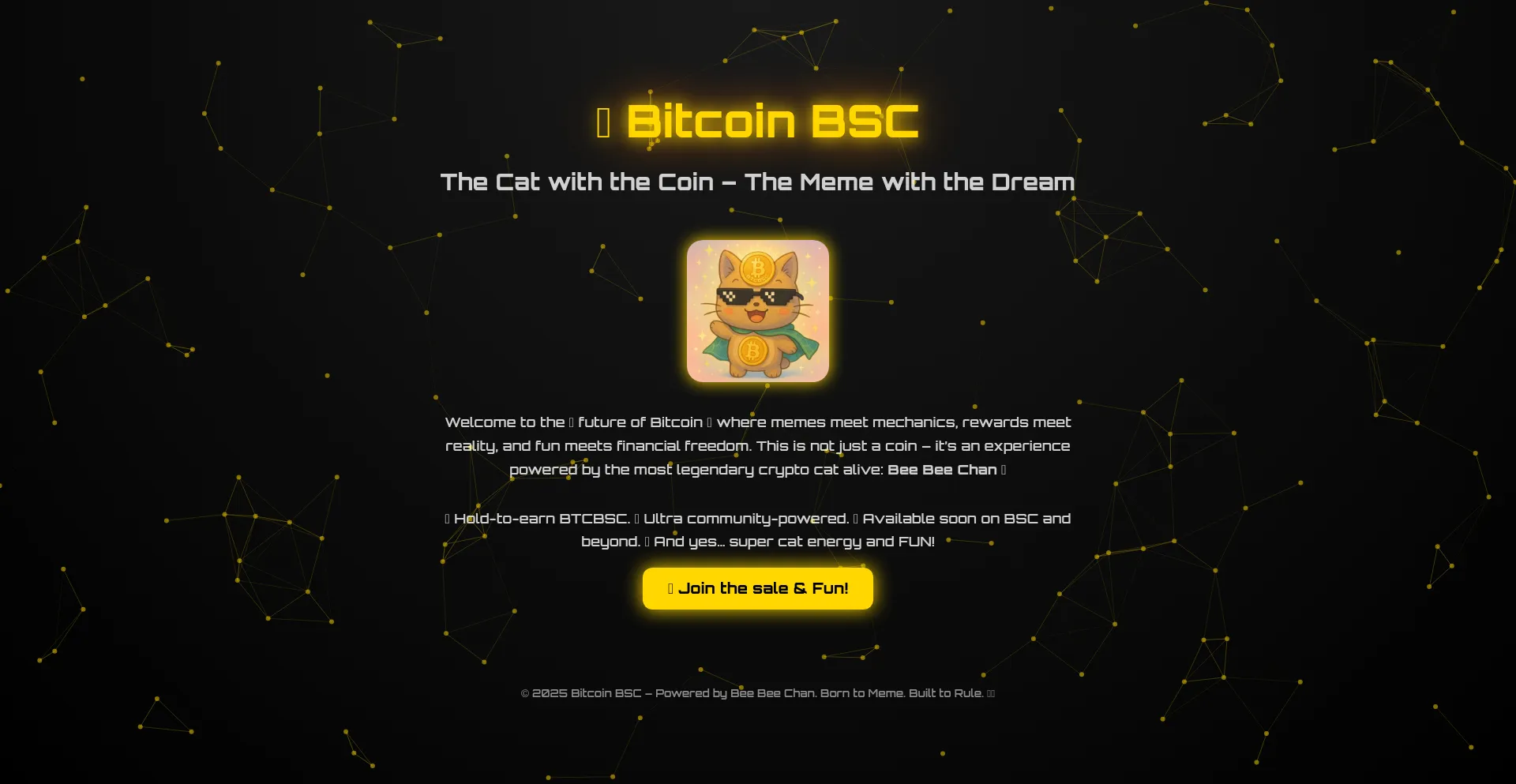 Website screenshot of Btcbsc.com