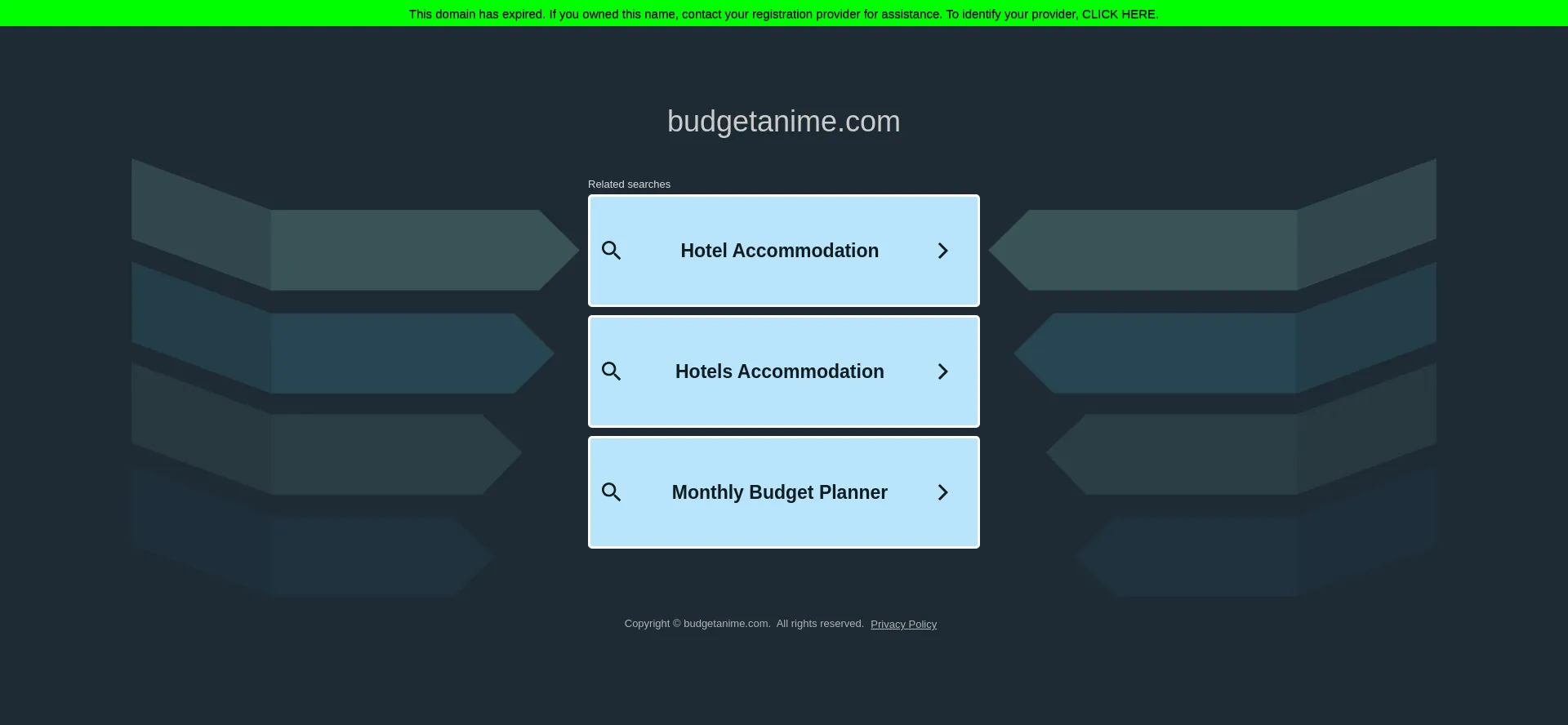 Website screenshot of Budgetanime.com