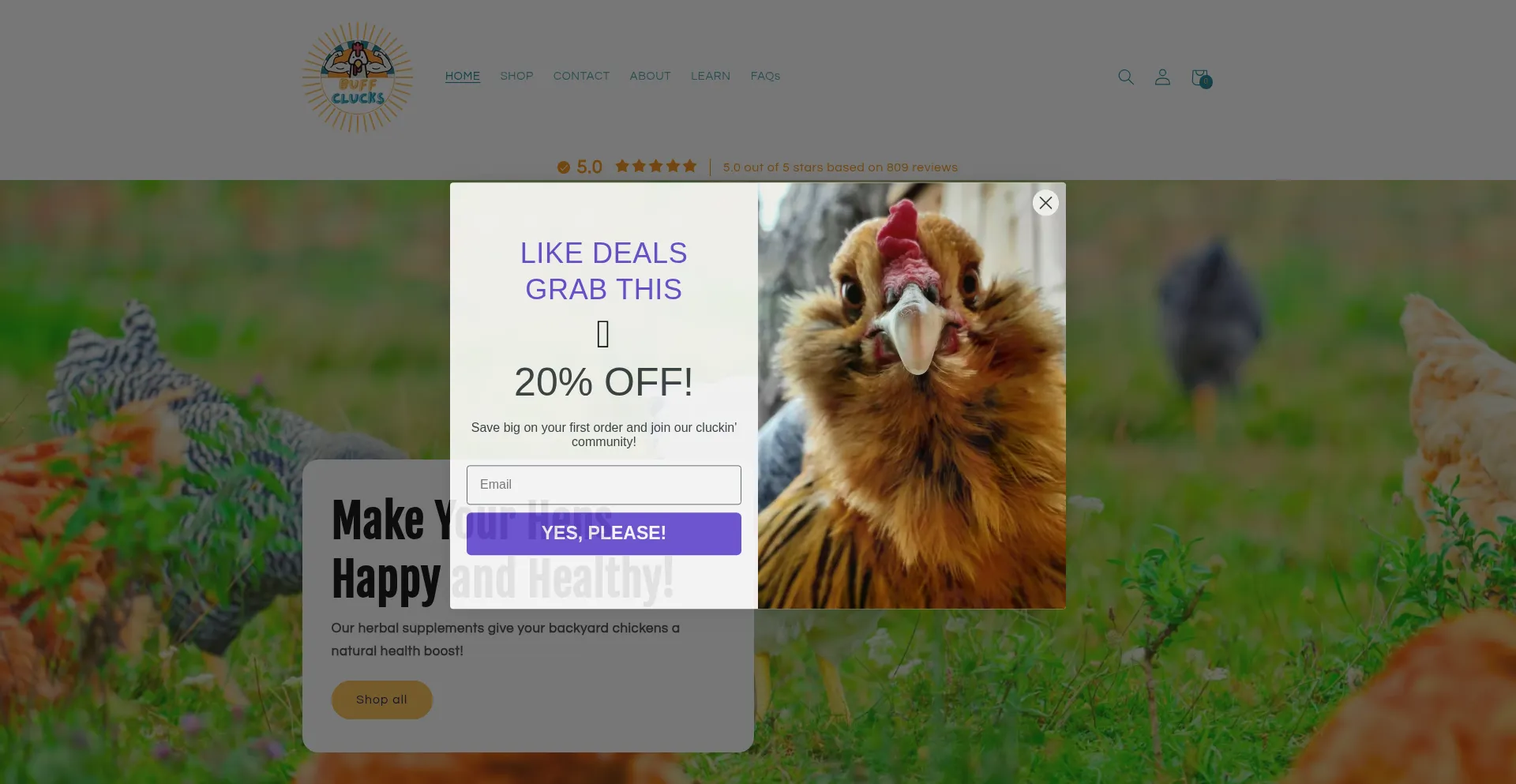 Website screenshot of Buffclucks.com