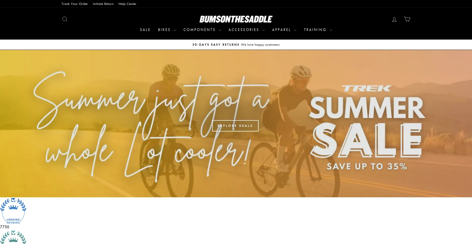 Website screenshot of Bumsonthesaddle.com