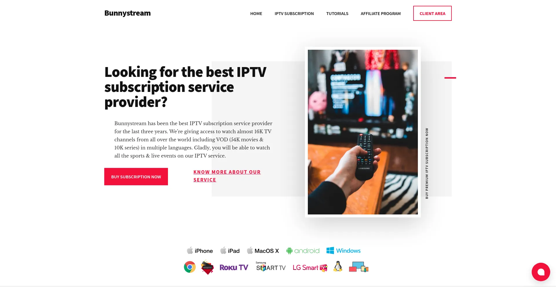 Website screenshot of Bunnystream.com