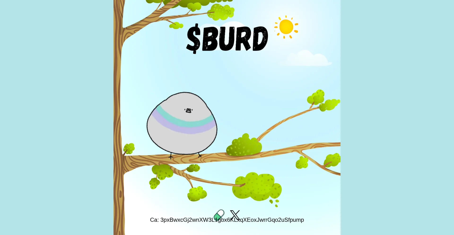 Burd.top
