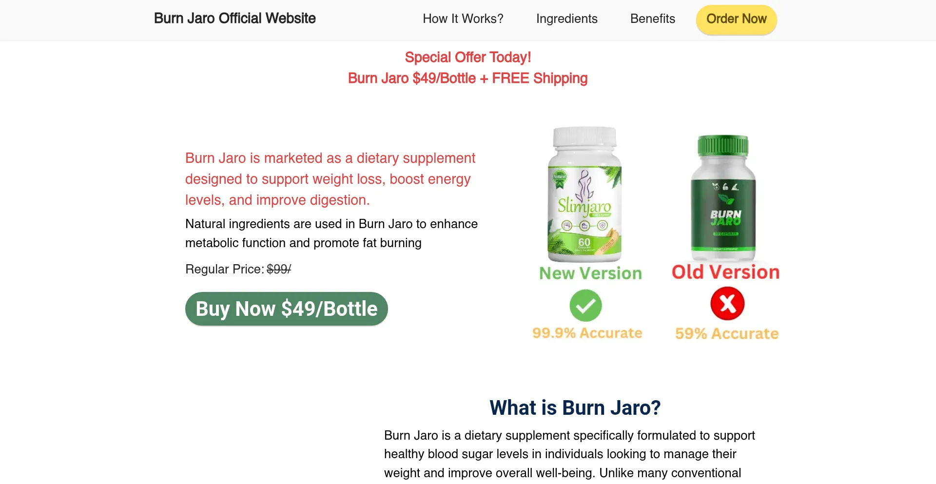 Website screenshot of Burn-jaro.com