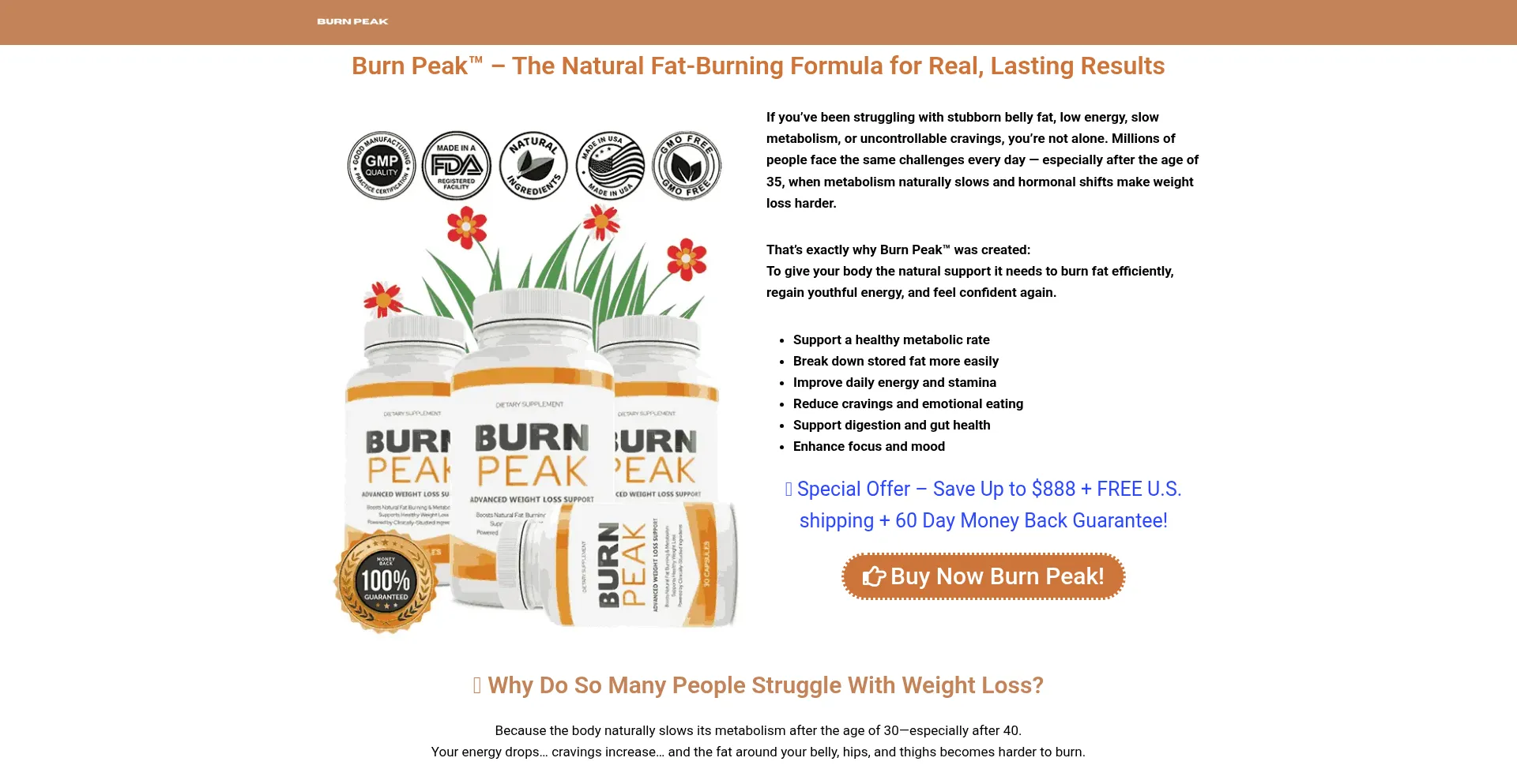 Burnepeak.com
