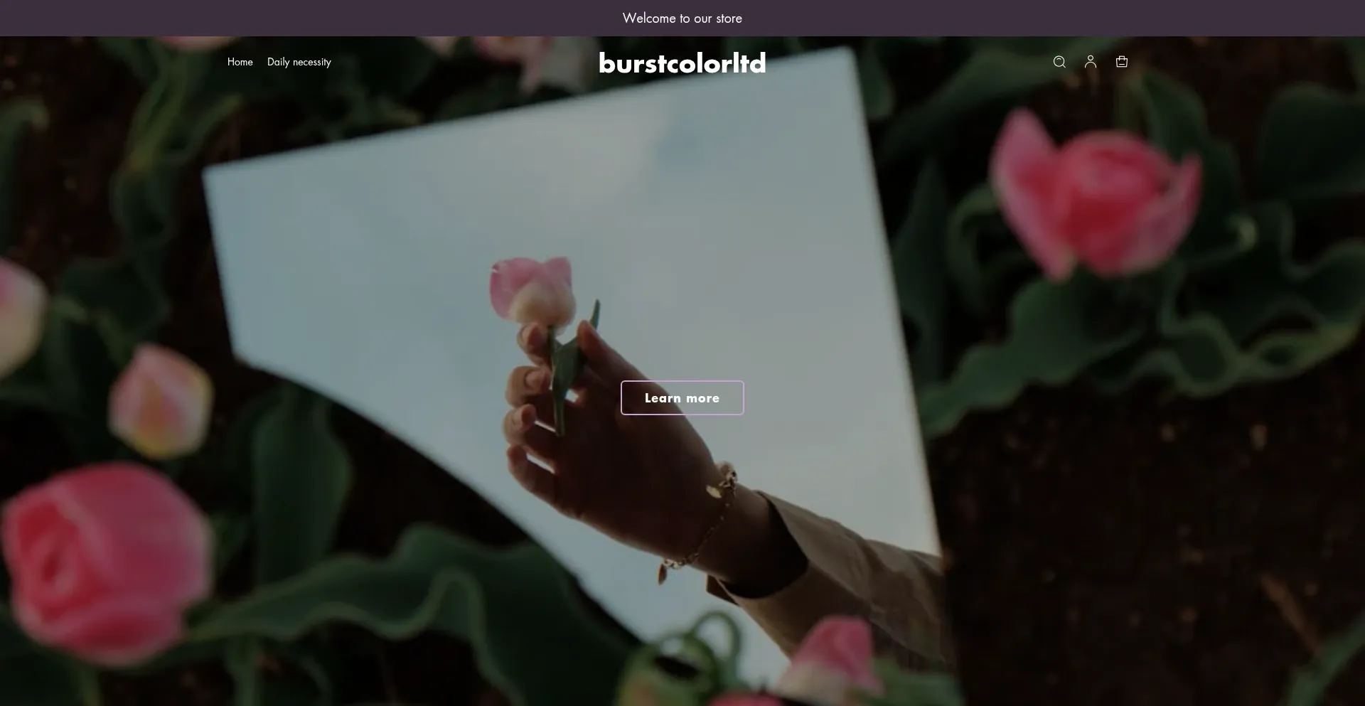 Burstcolorltd.com