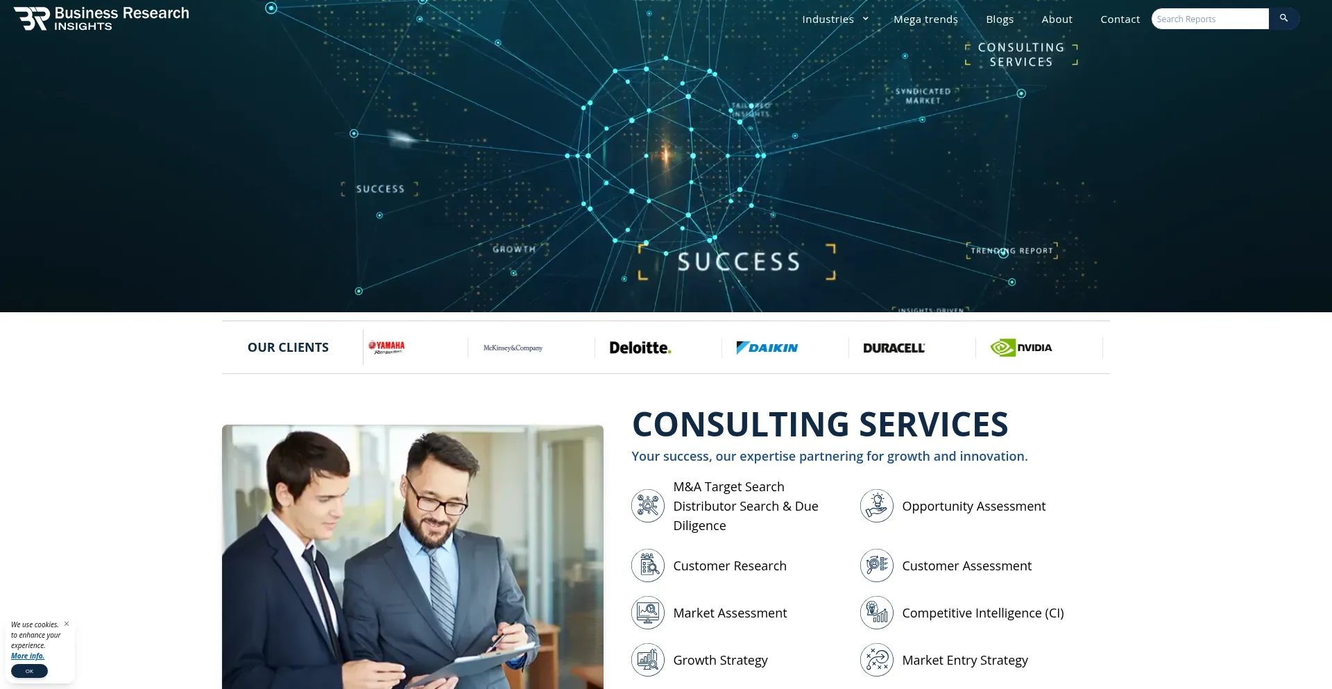 Businessresearchinsights.com