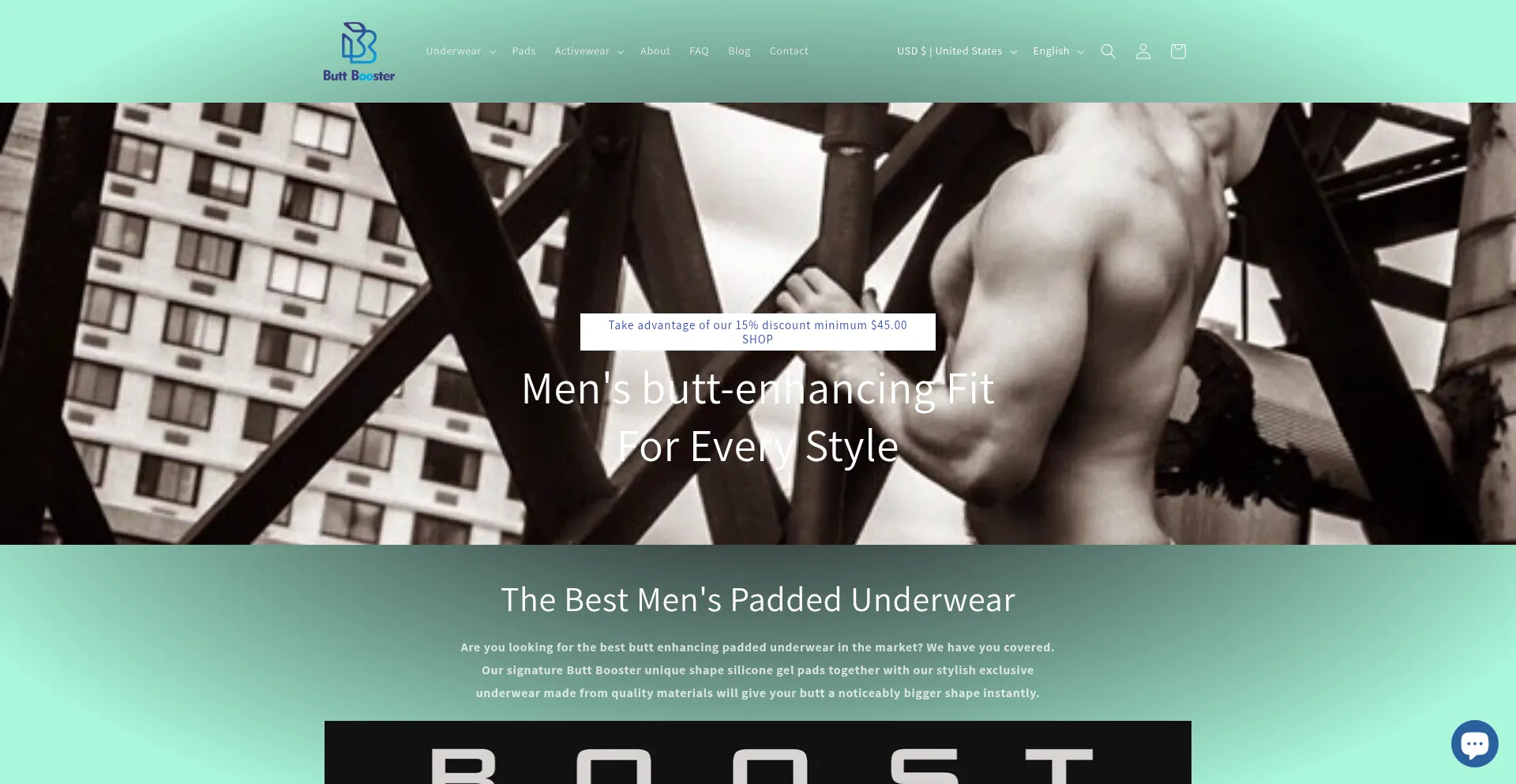 Website screenshot of Buttboosterllc.com