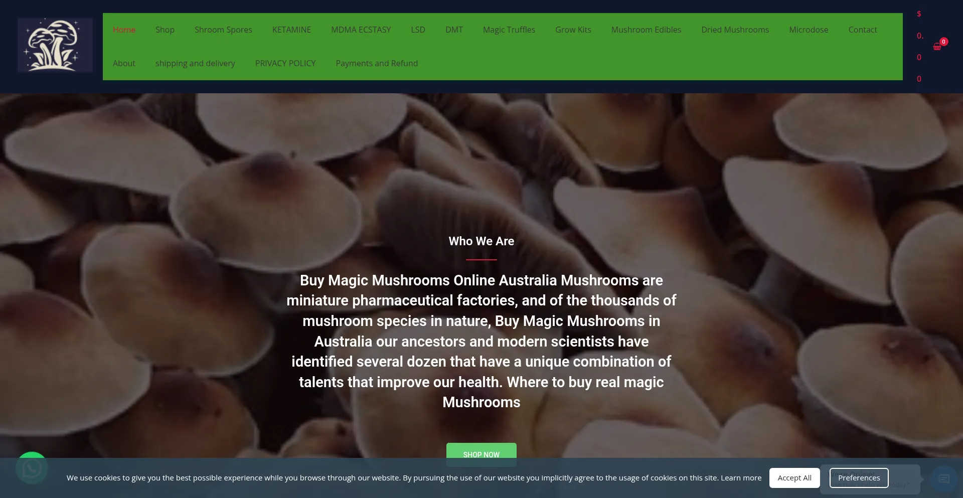 Website screenshot of Buyaustraliapsychedeliconline.com