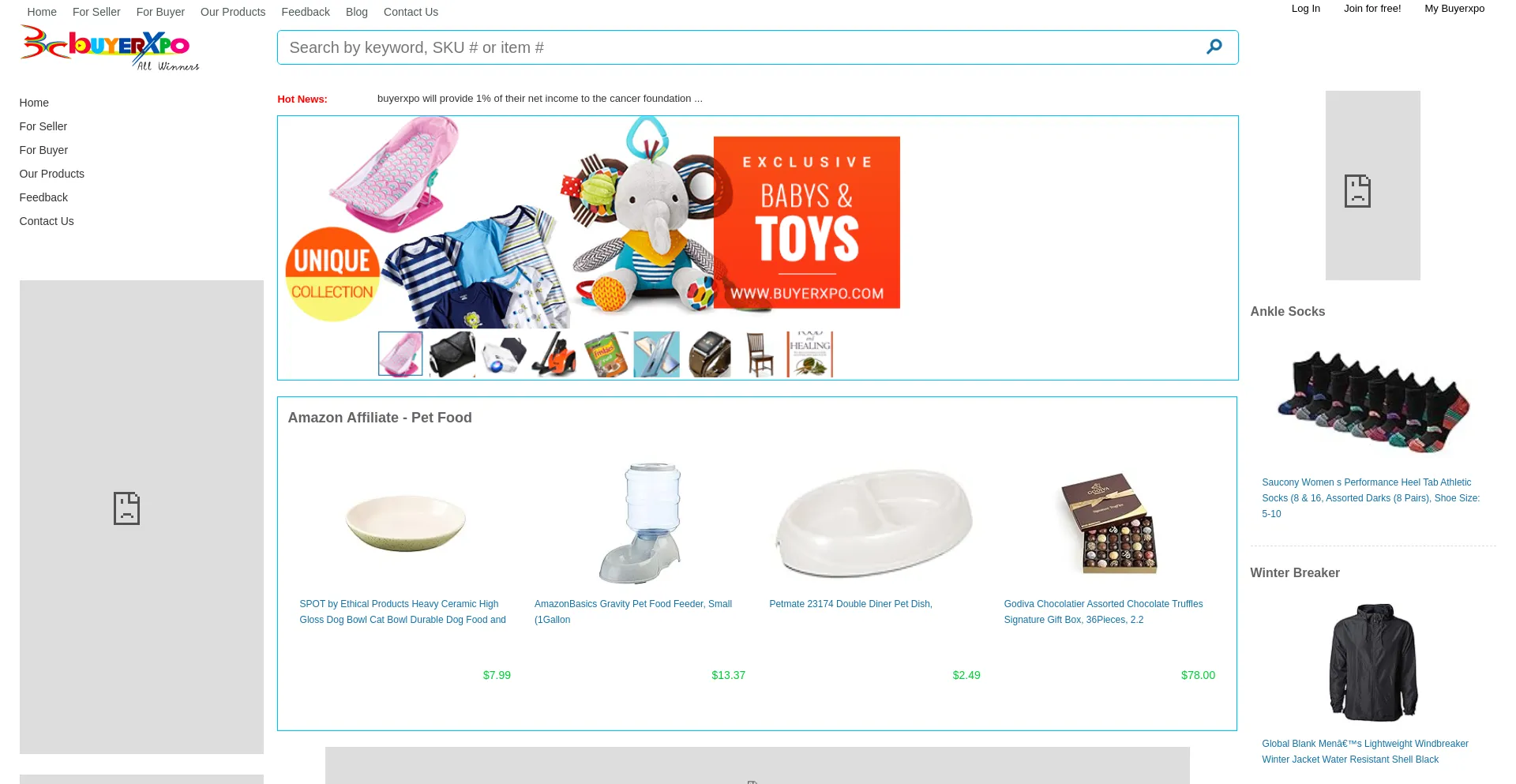 Website screenshot of Buyerxpo.com