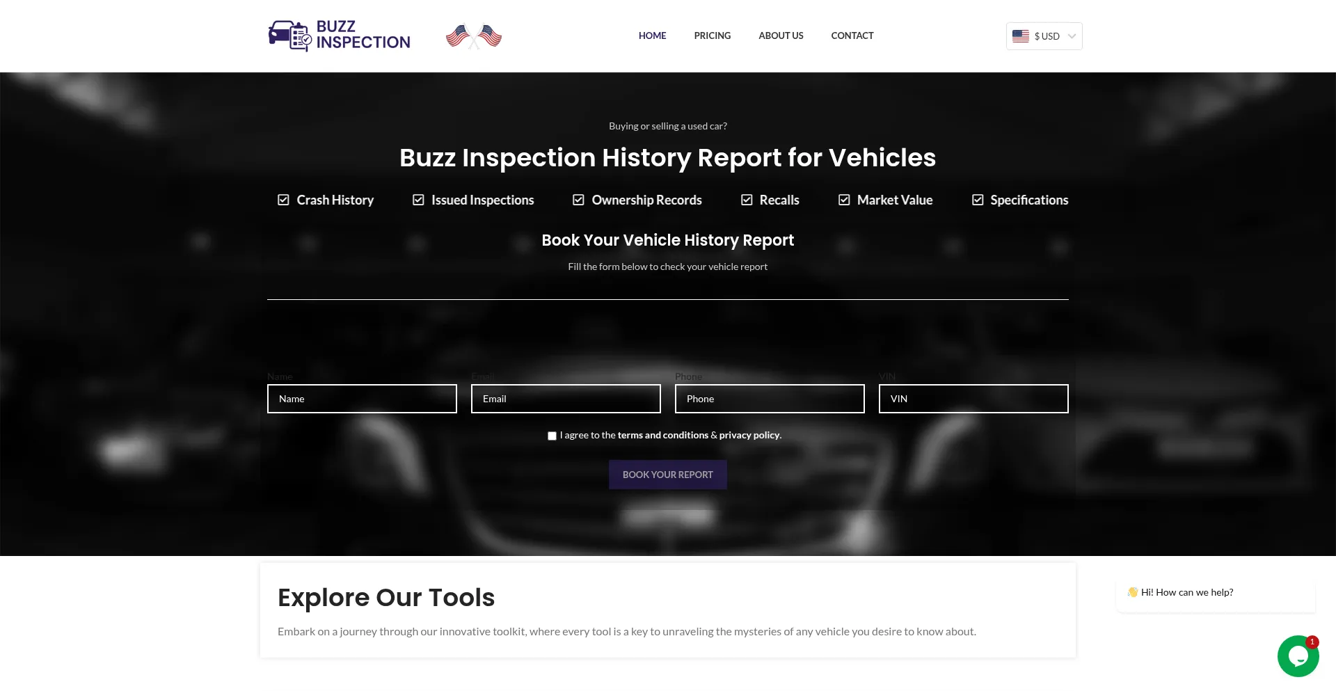 Website screenshot of Buzzinspection.com