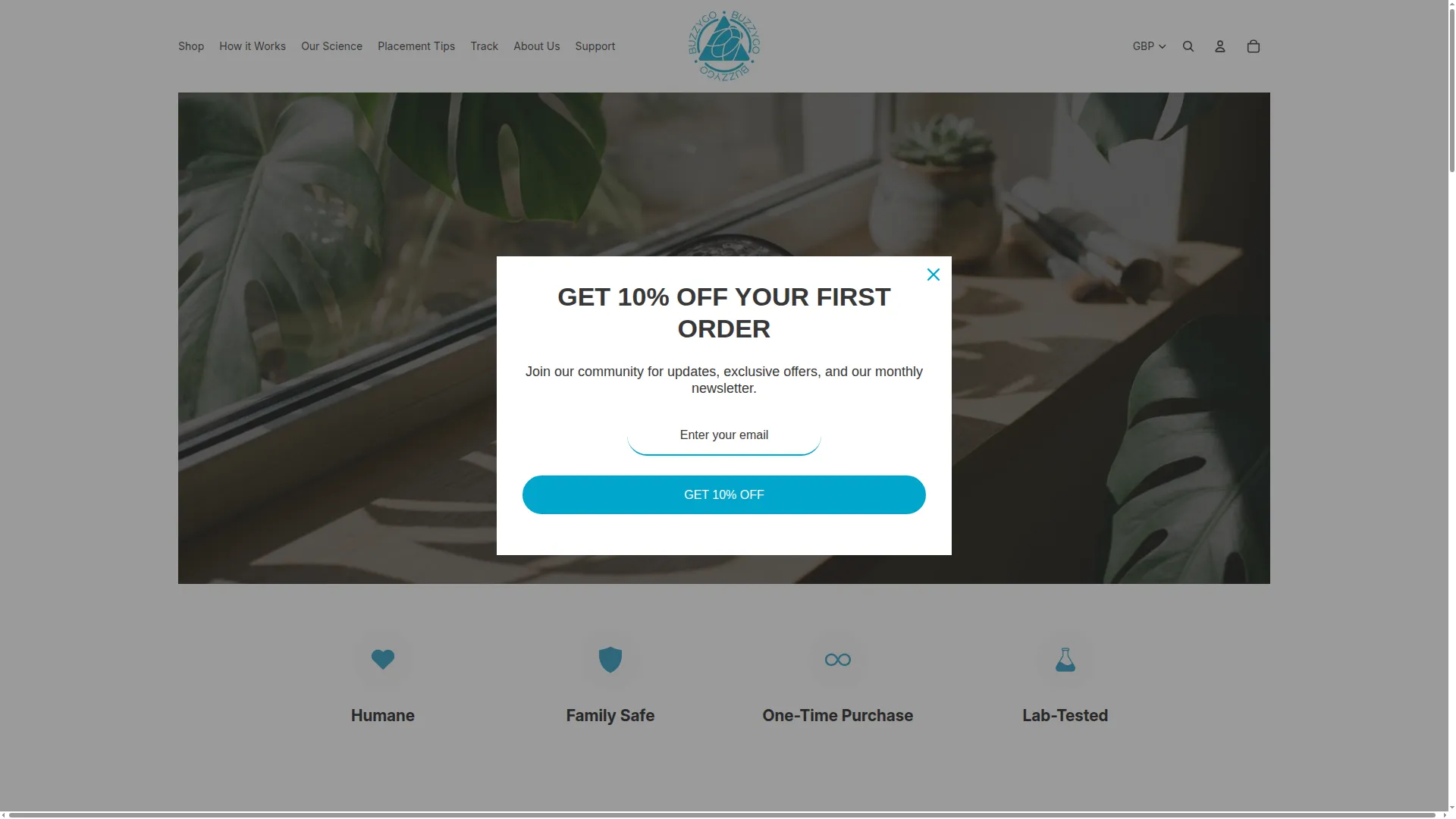 Buzzygo.com