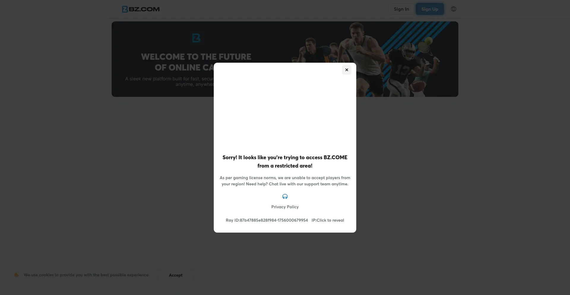 Website screenshot of Bz.com