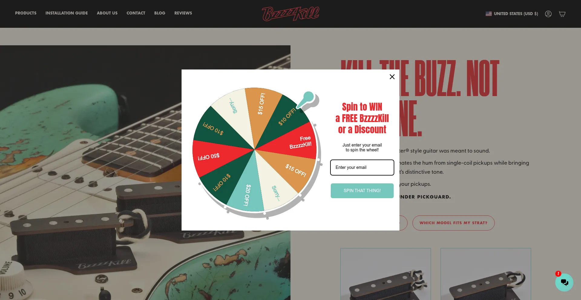 Website screenshot of Bzzzzkill.com