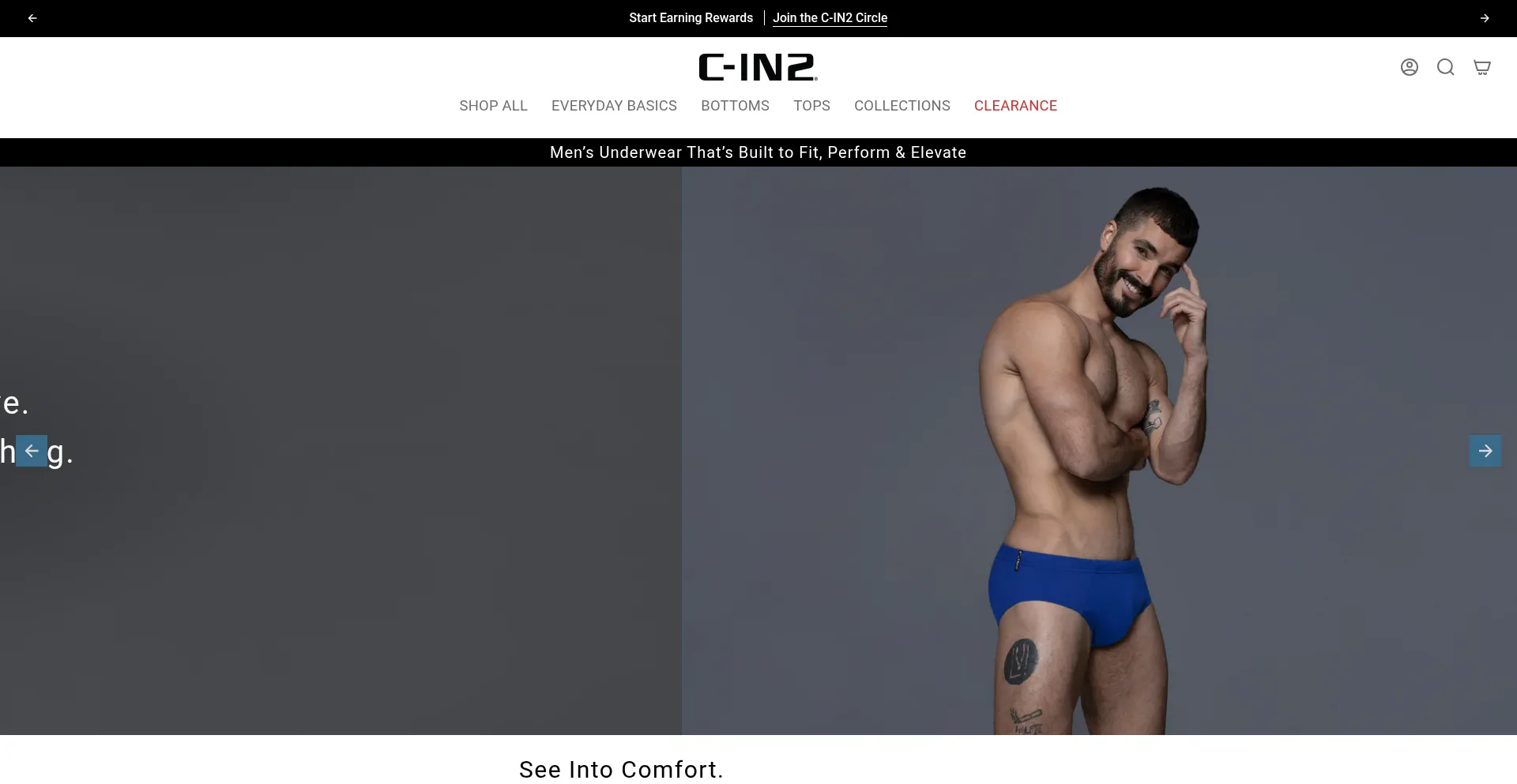 Website screenshot of C-in2.com