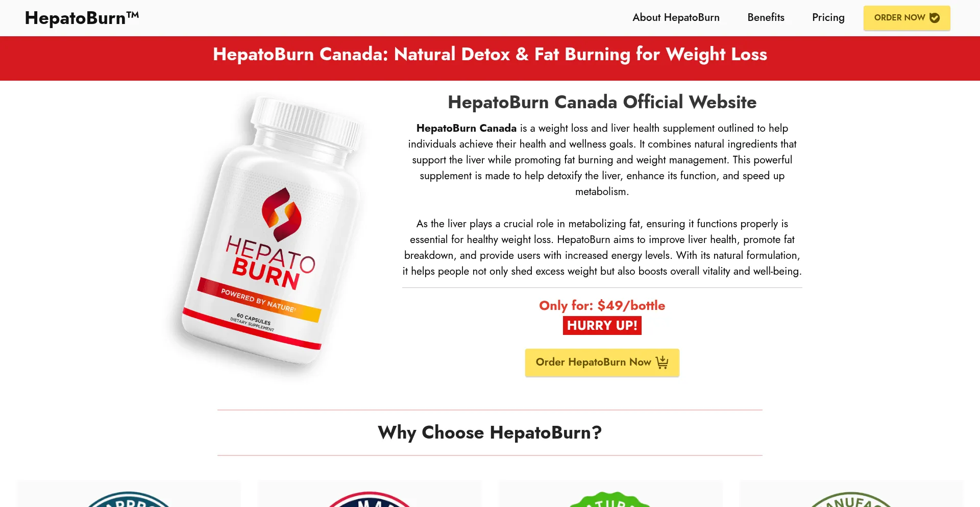 Website screenshot of Ca-hepatoburn.ca