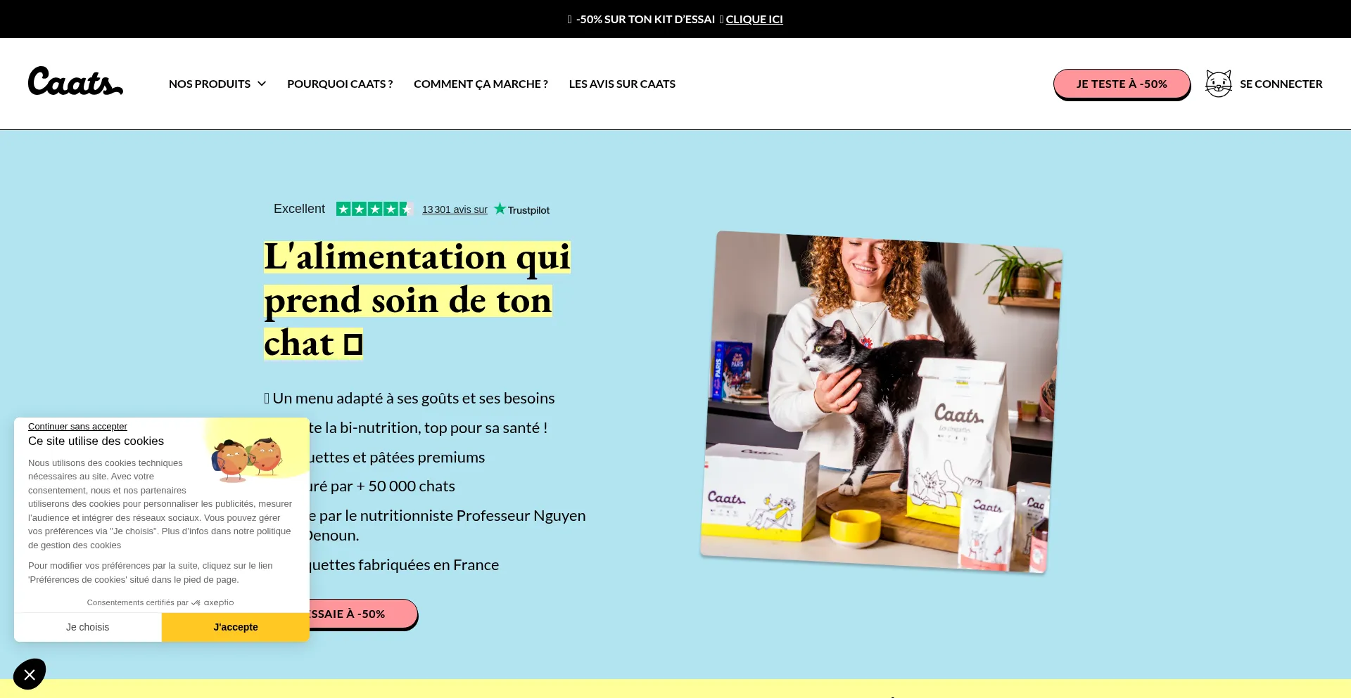 Website screenshot of Caats.co