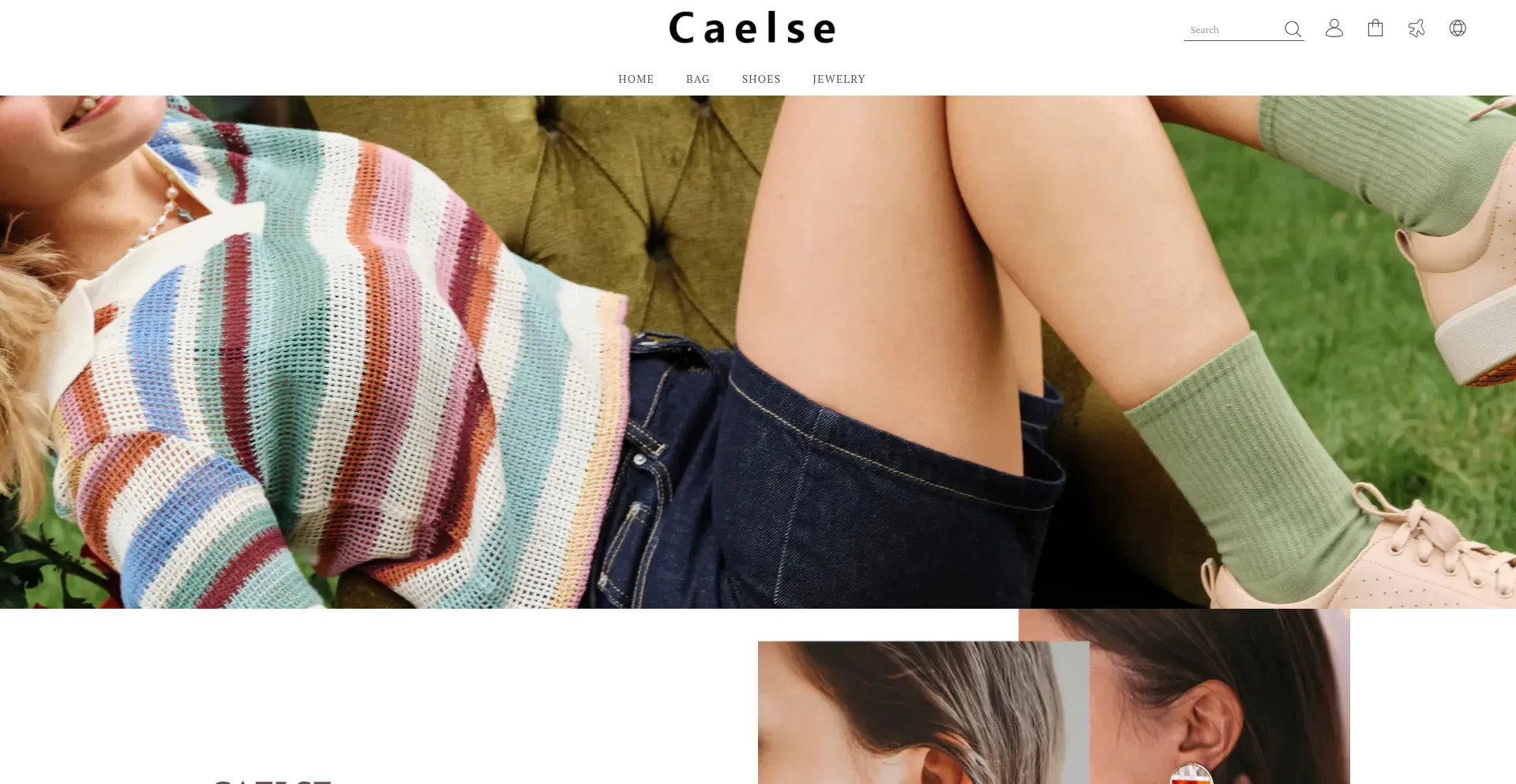 Website screenshot of Caelse.com