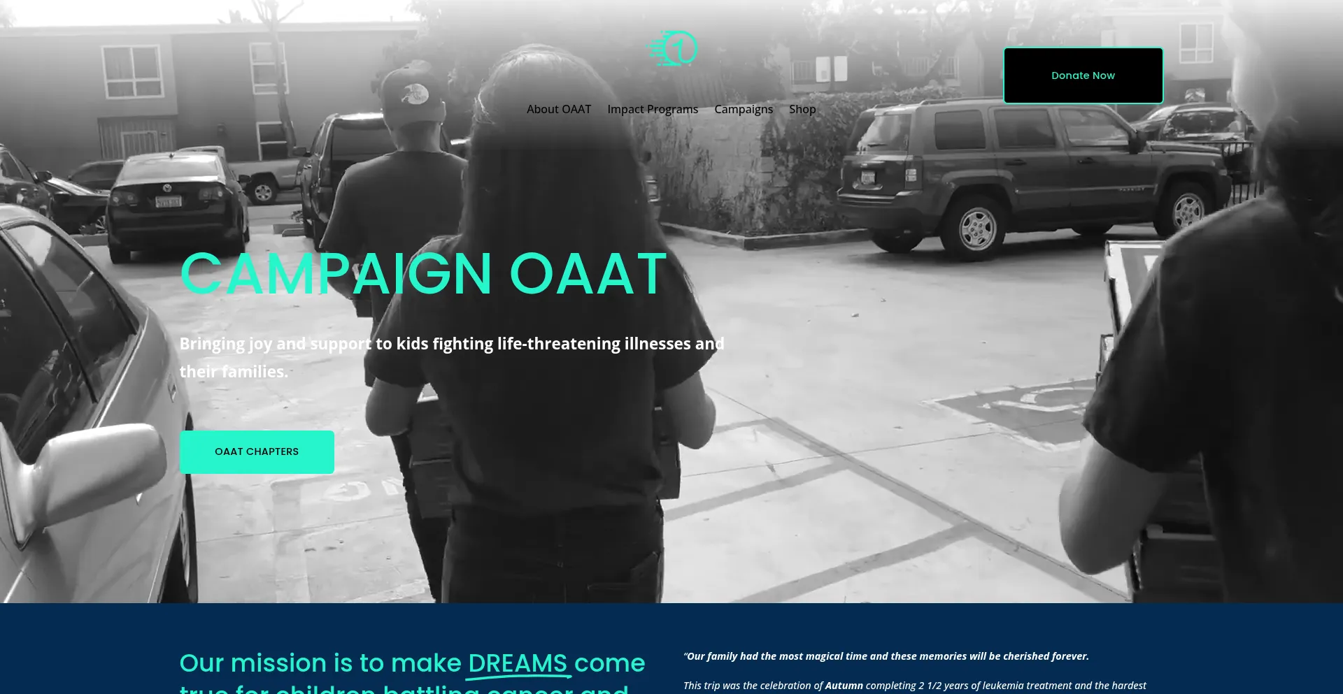 Website screenshot of Campaignoaat.org