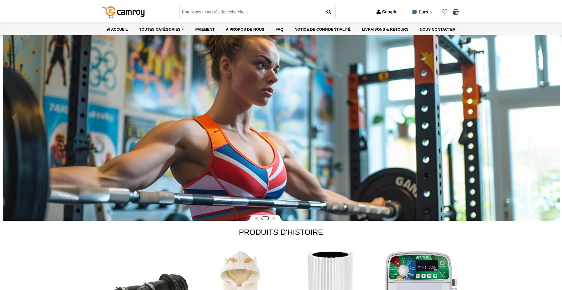 Website screenshot of Camroy.net