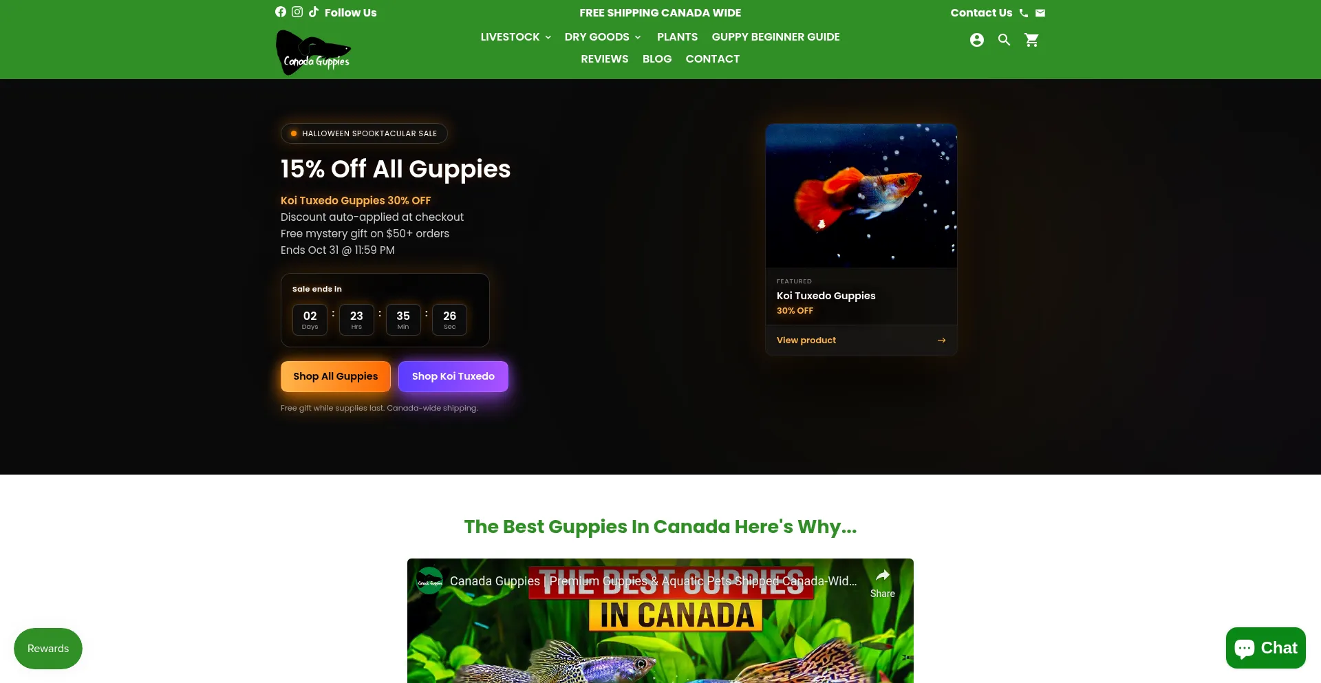 Canadaguppies.com
