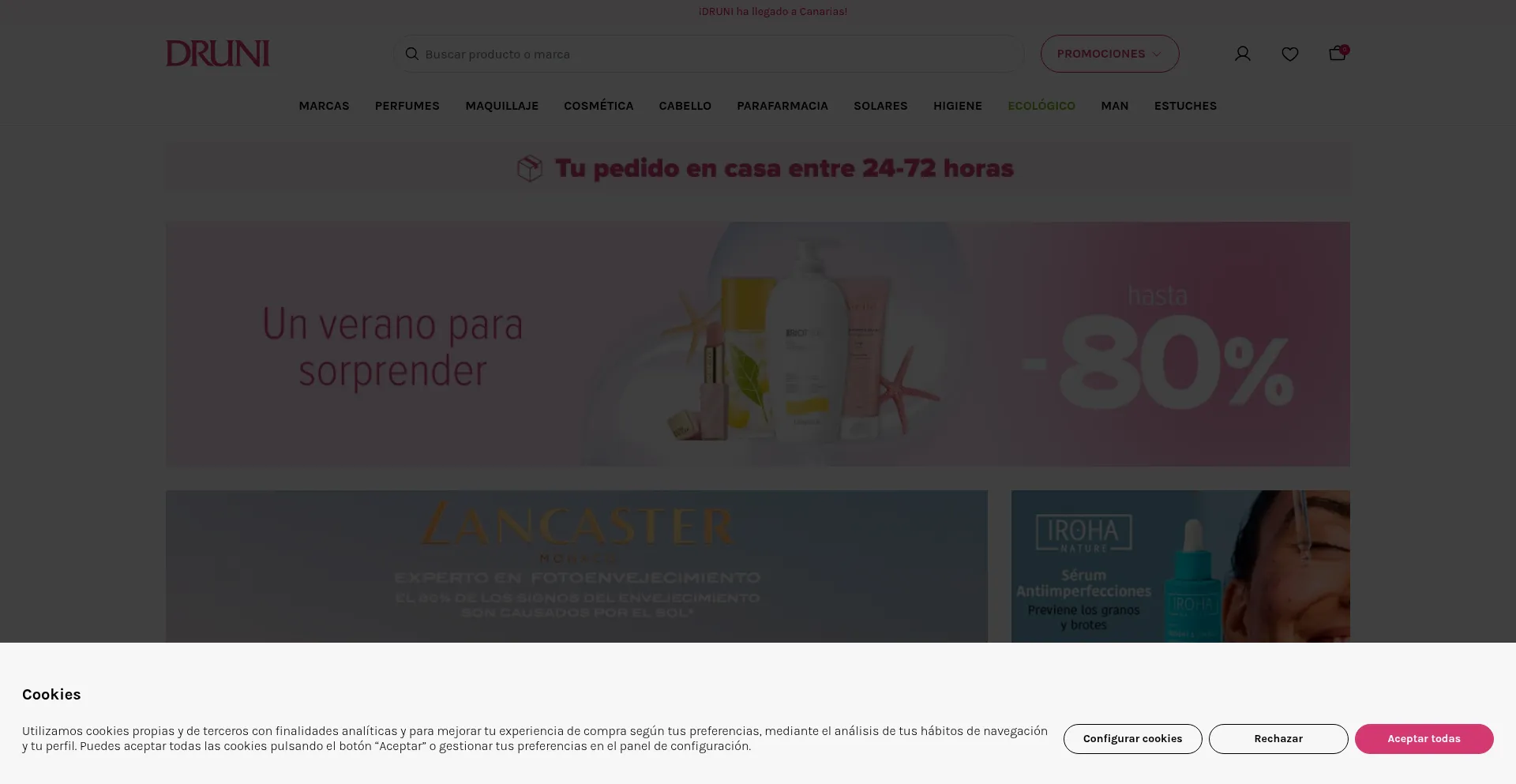 Website screenshot of Canarias.druni.es