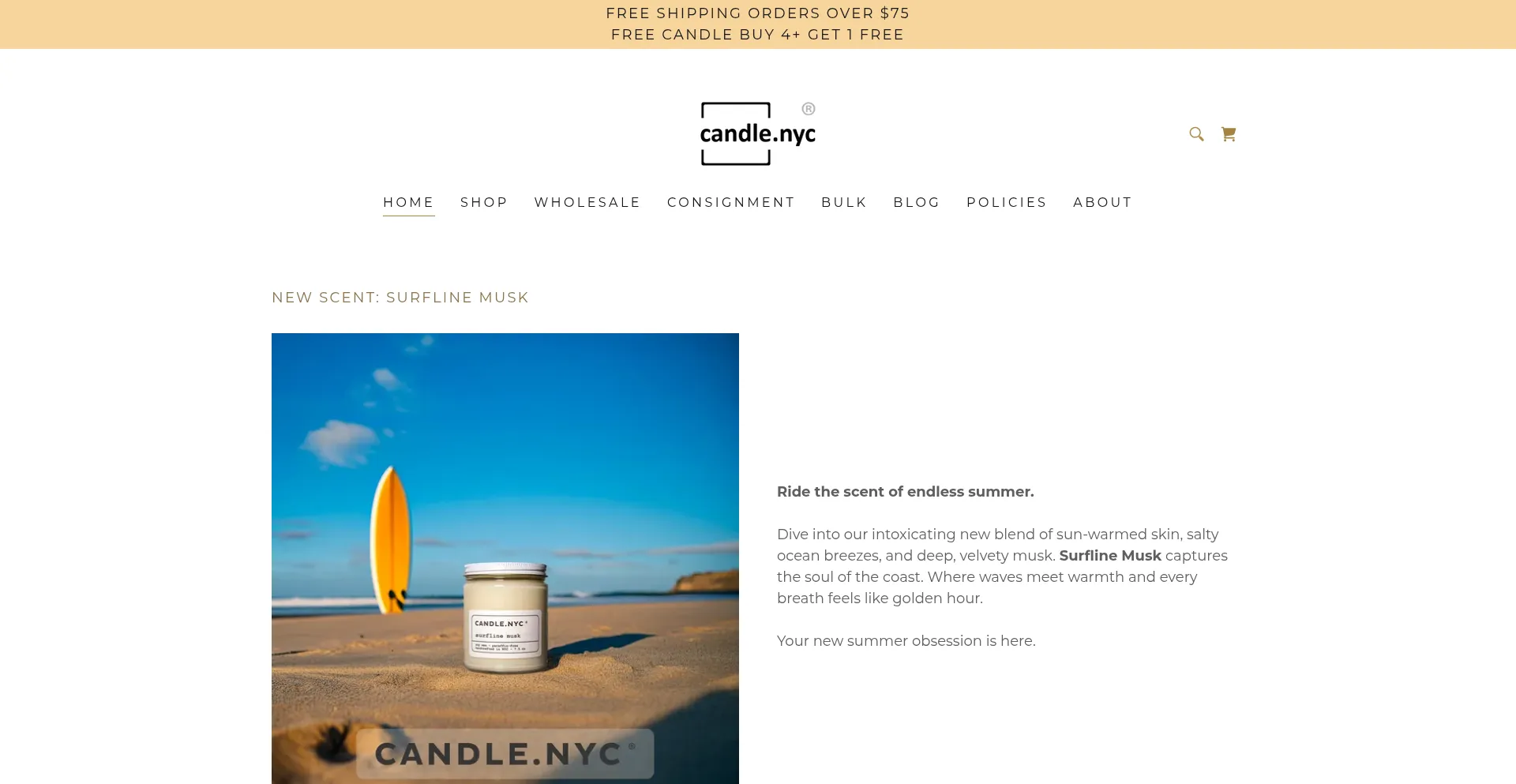 Website screenshot of Candle.nyc