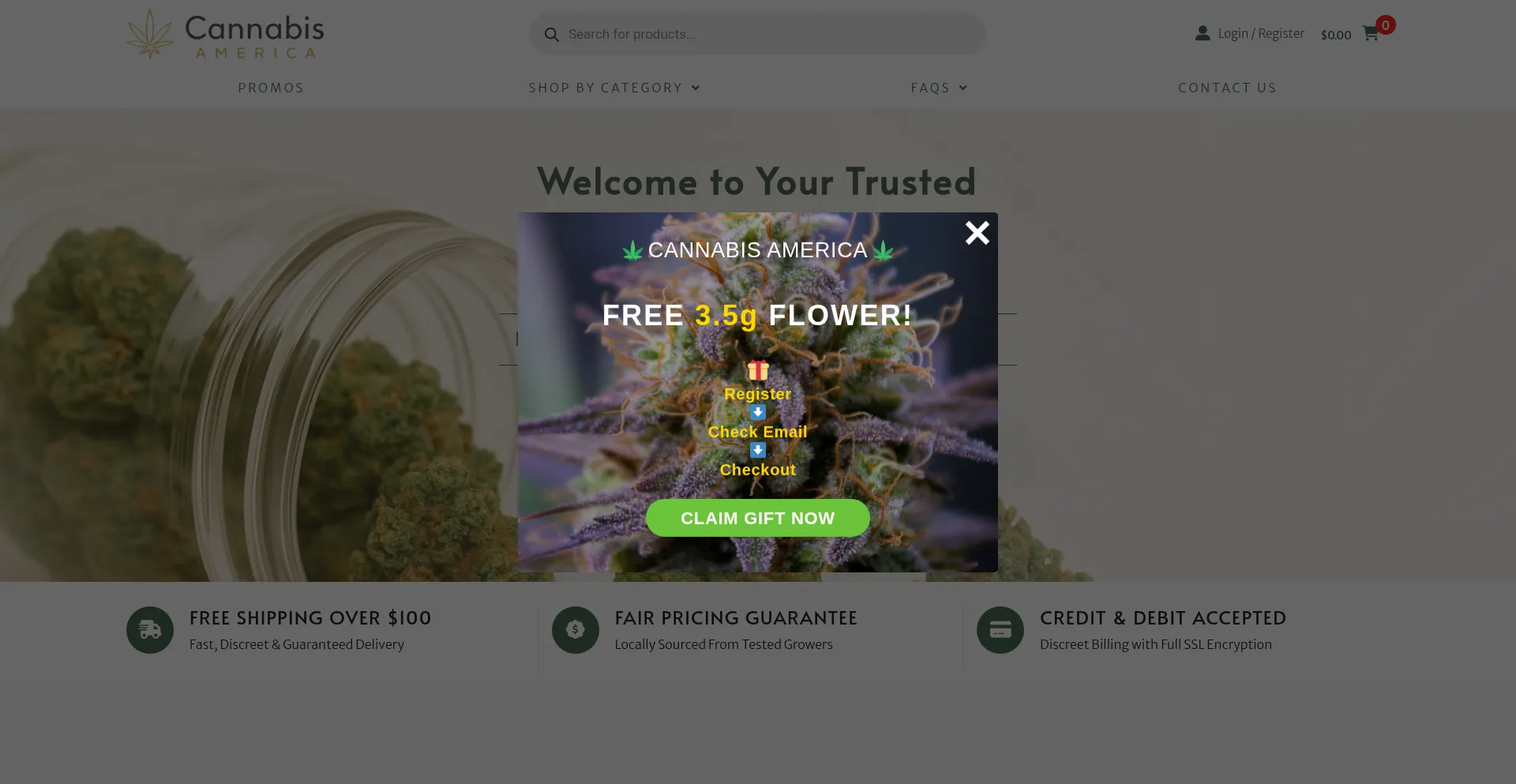 Website screenshot of Cannabisamerica.us