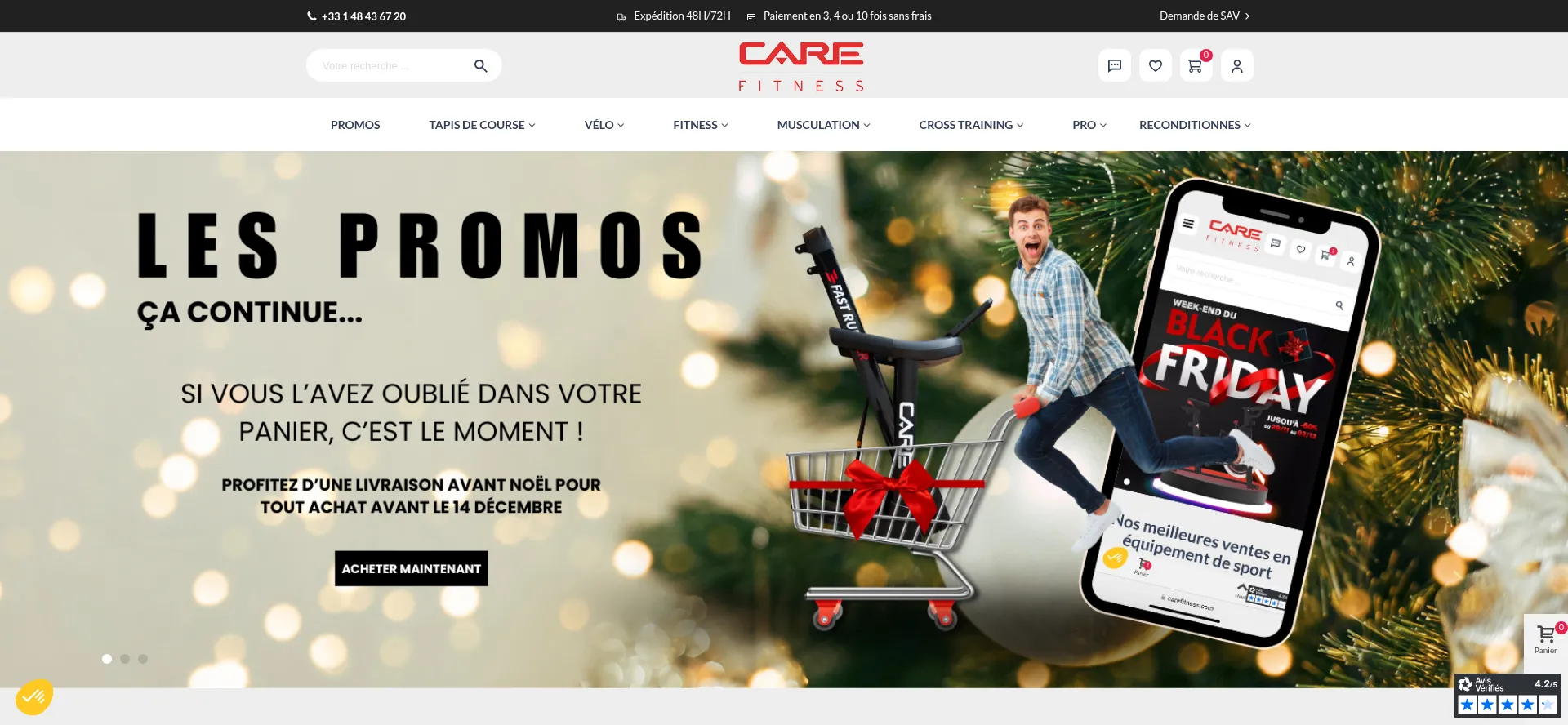 Website screenshot of Carefitness.com