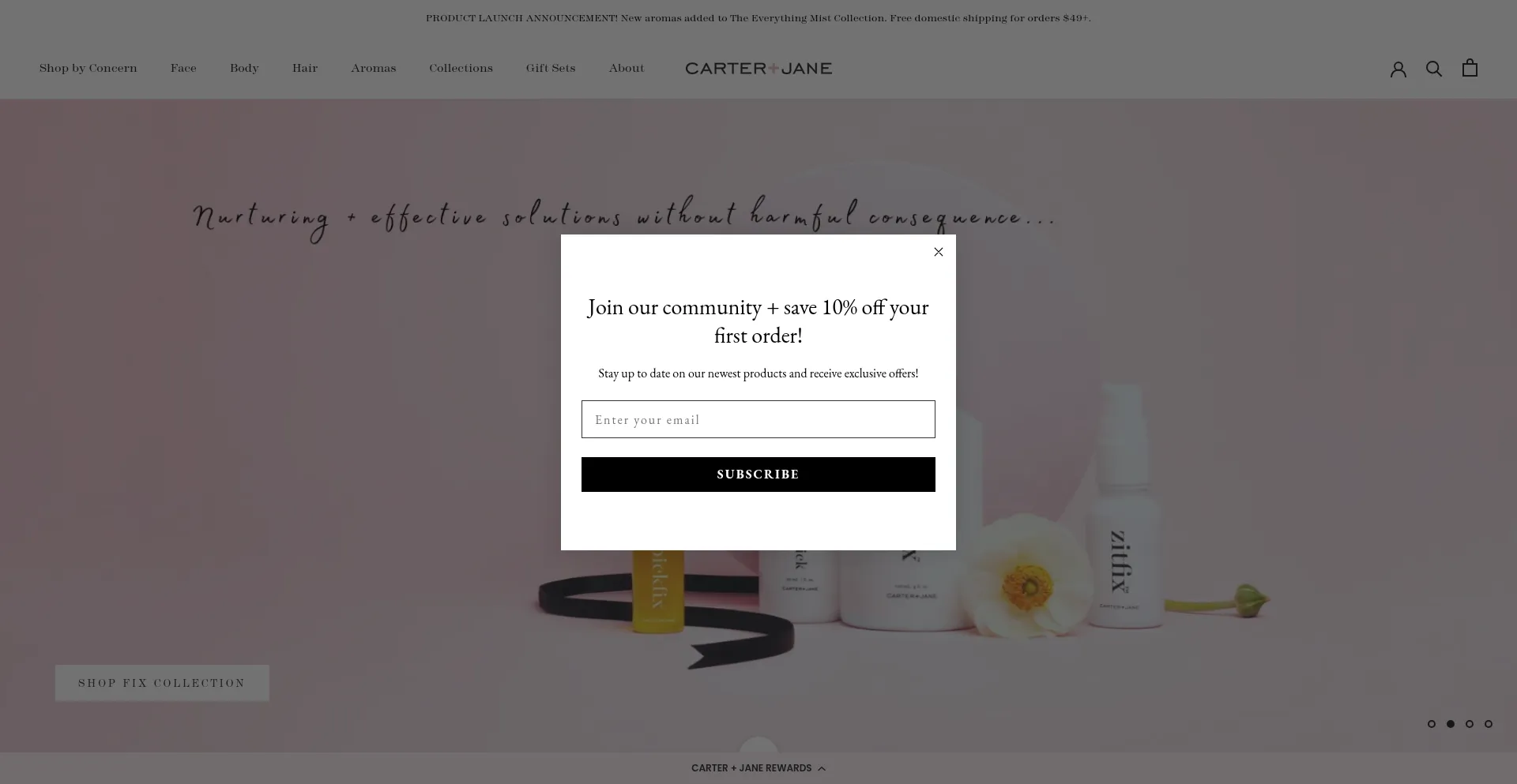 Website screenshot of Carterandjane.com