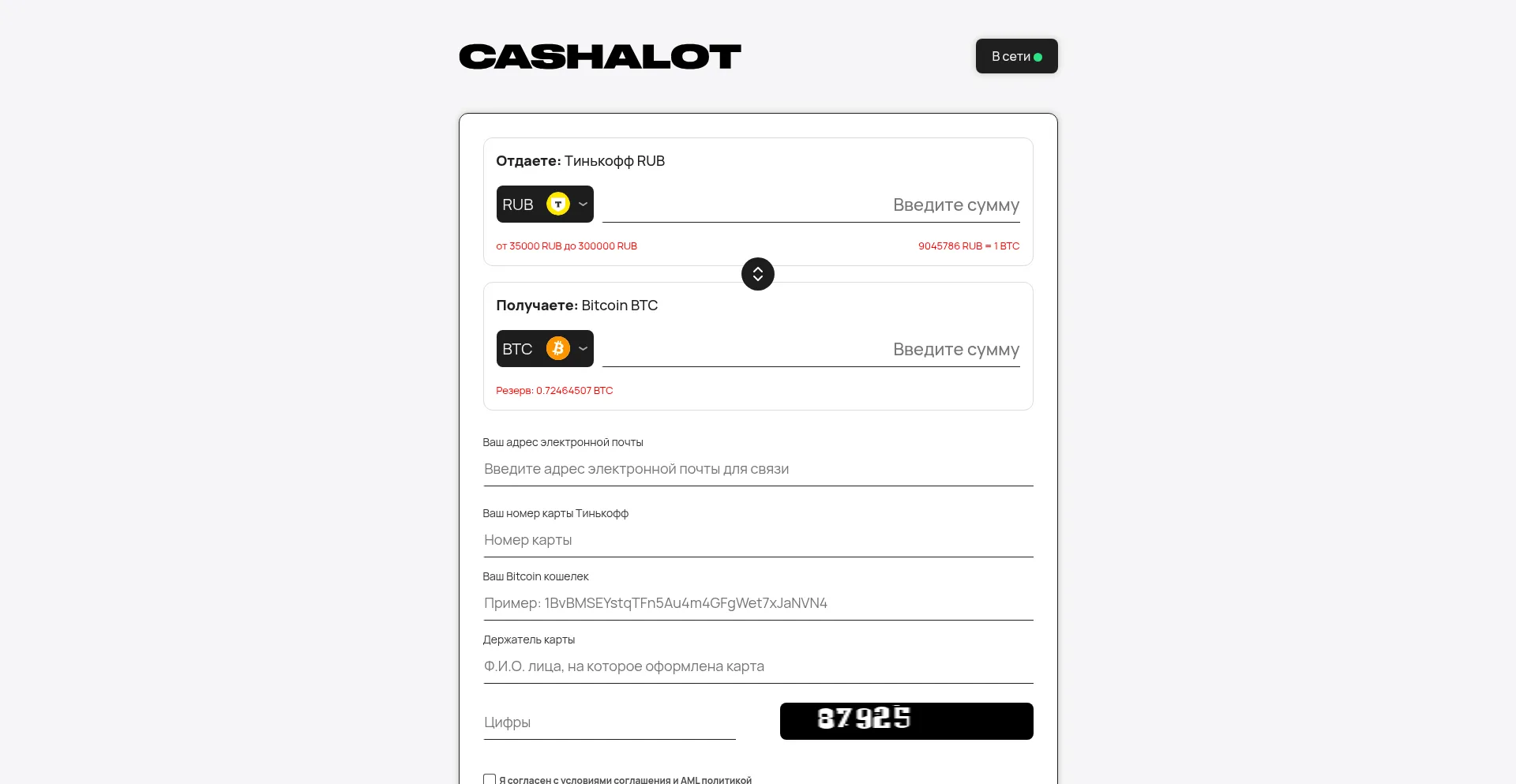 Website screenshot of Cashalot.one