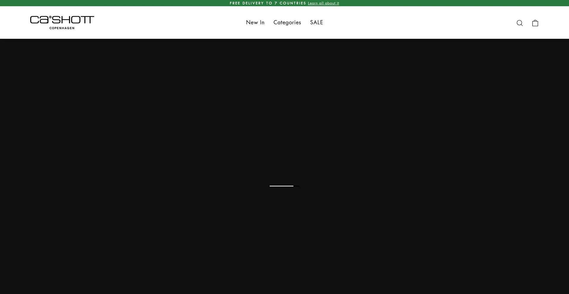 Website screenshot of Cashott.com