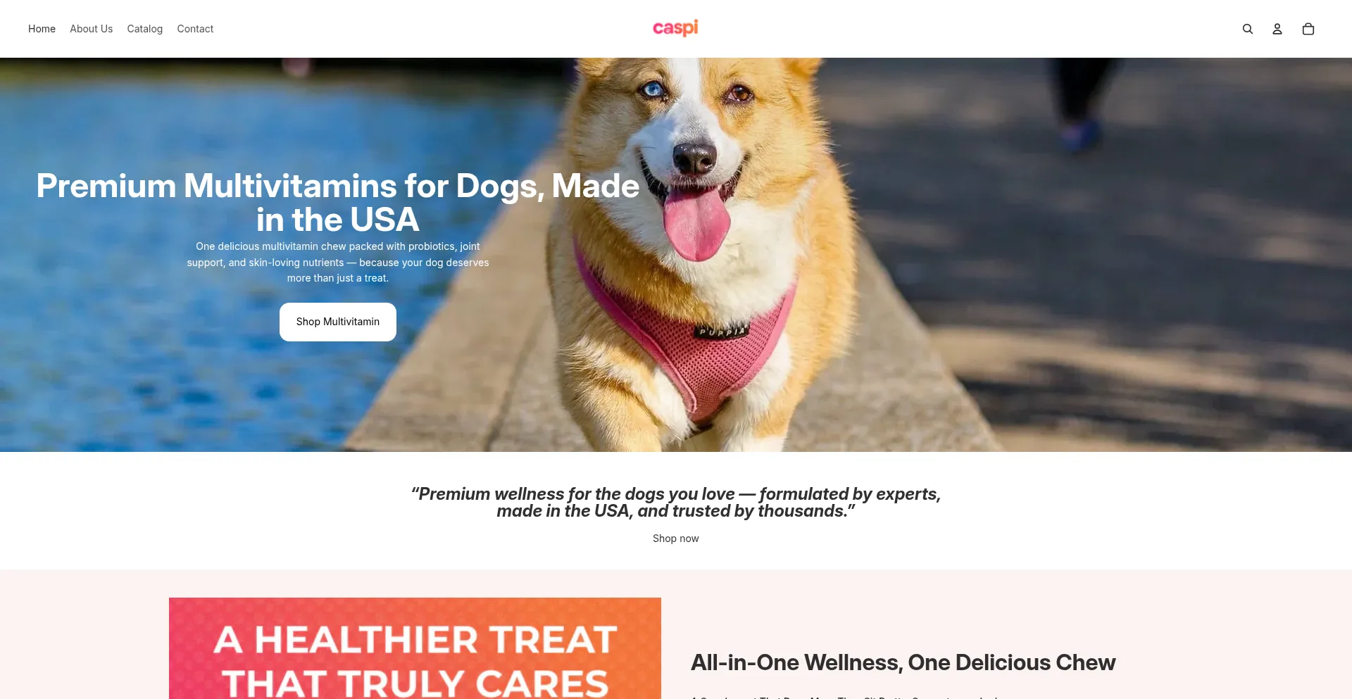 Website screenshot of Caspipet.com