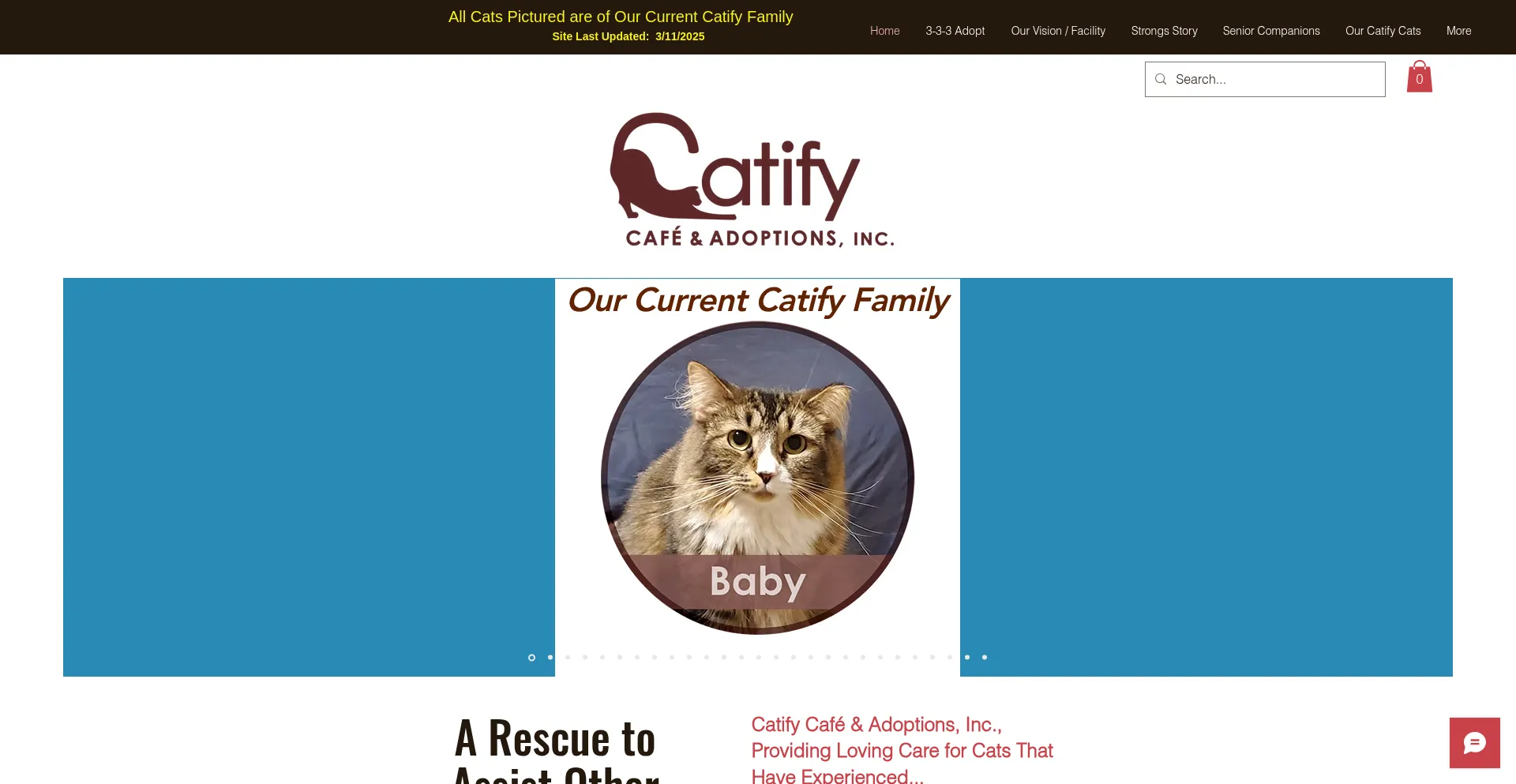 Catifycafe.org