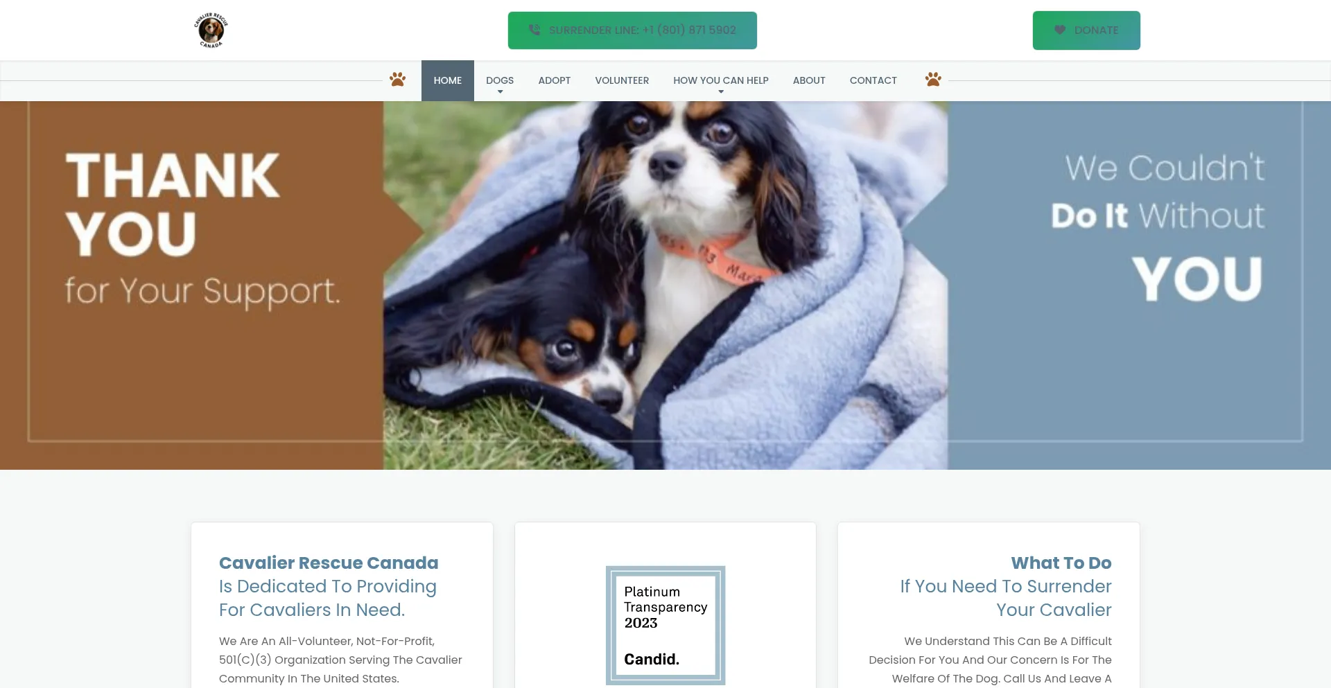 Website screenshot of Cavalierrescuecanada.com