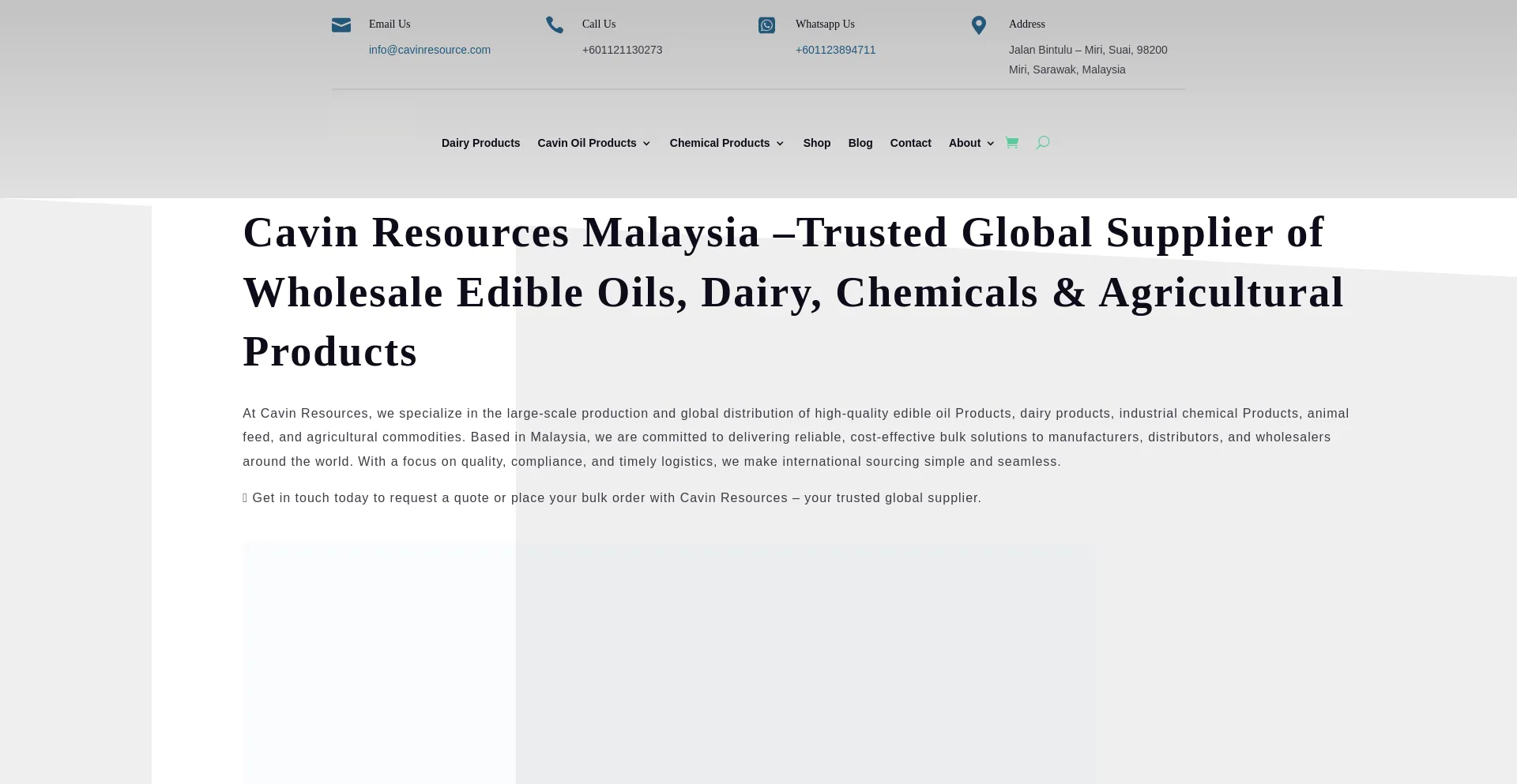 Website screenshot of Cavinresource.com