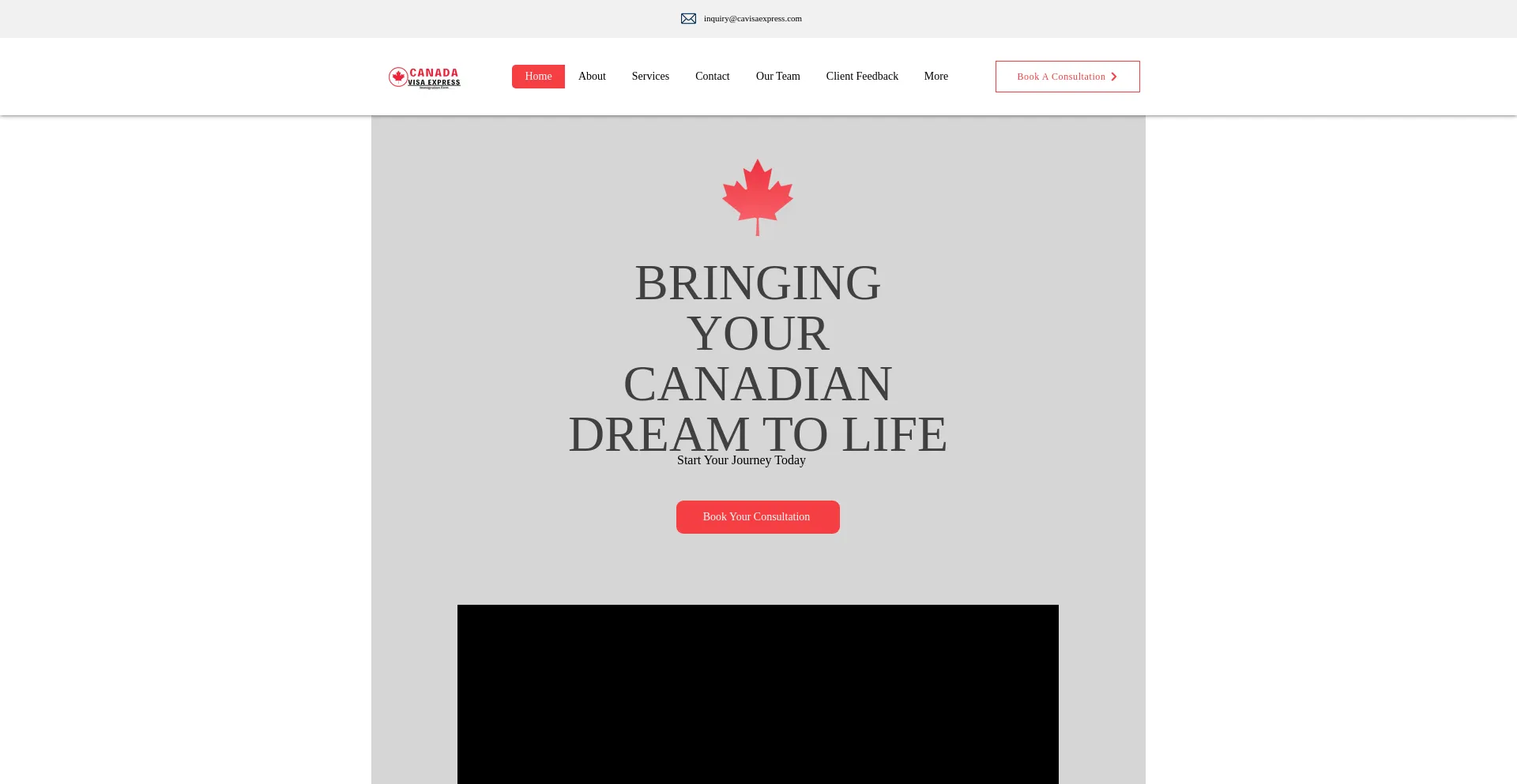 Website screenshot of Cavisaexpress.ca