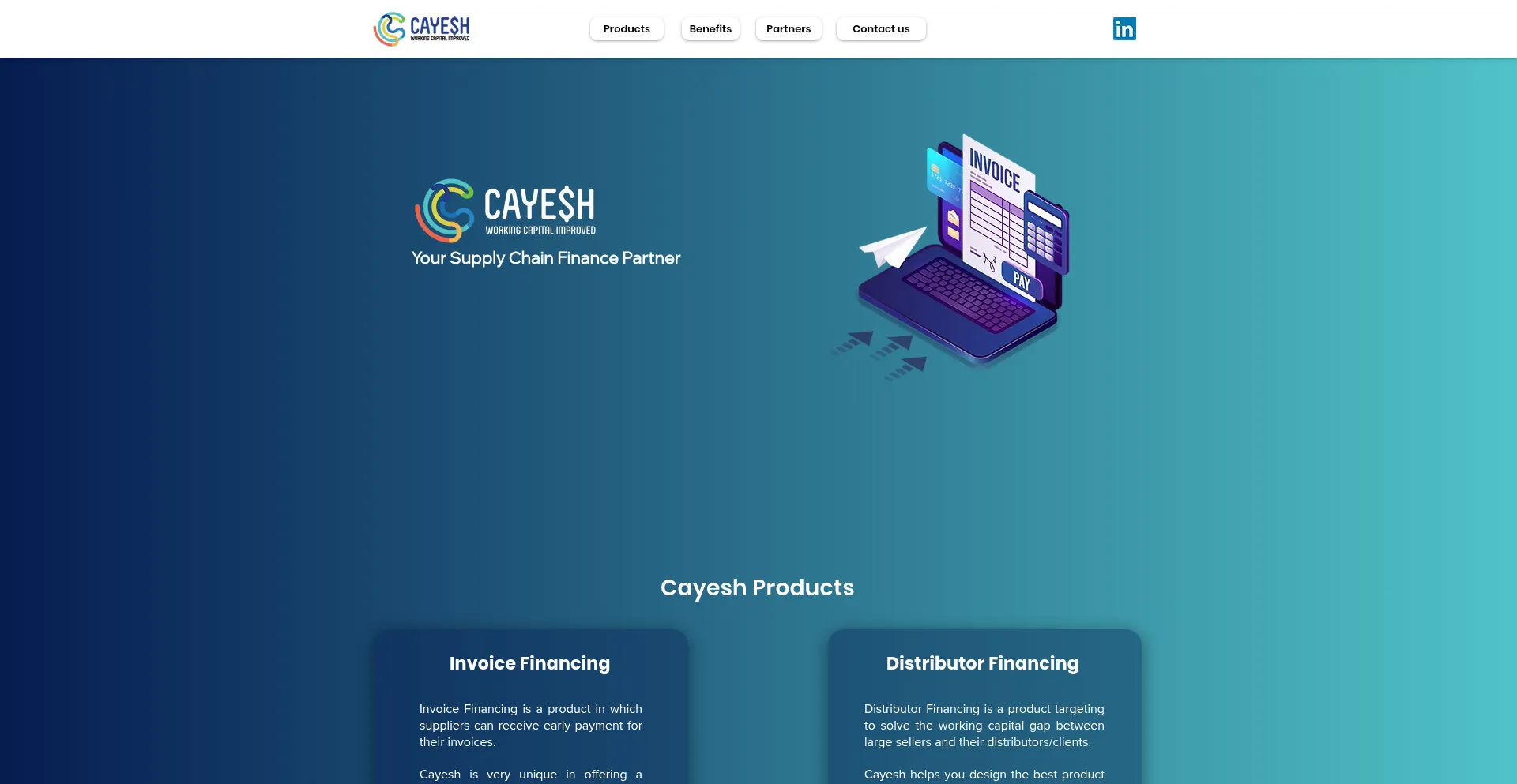 Website screenshot of Cayeshfintech.com
