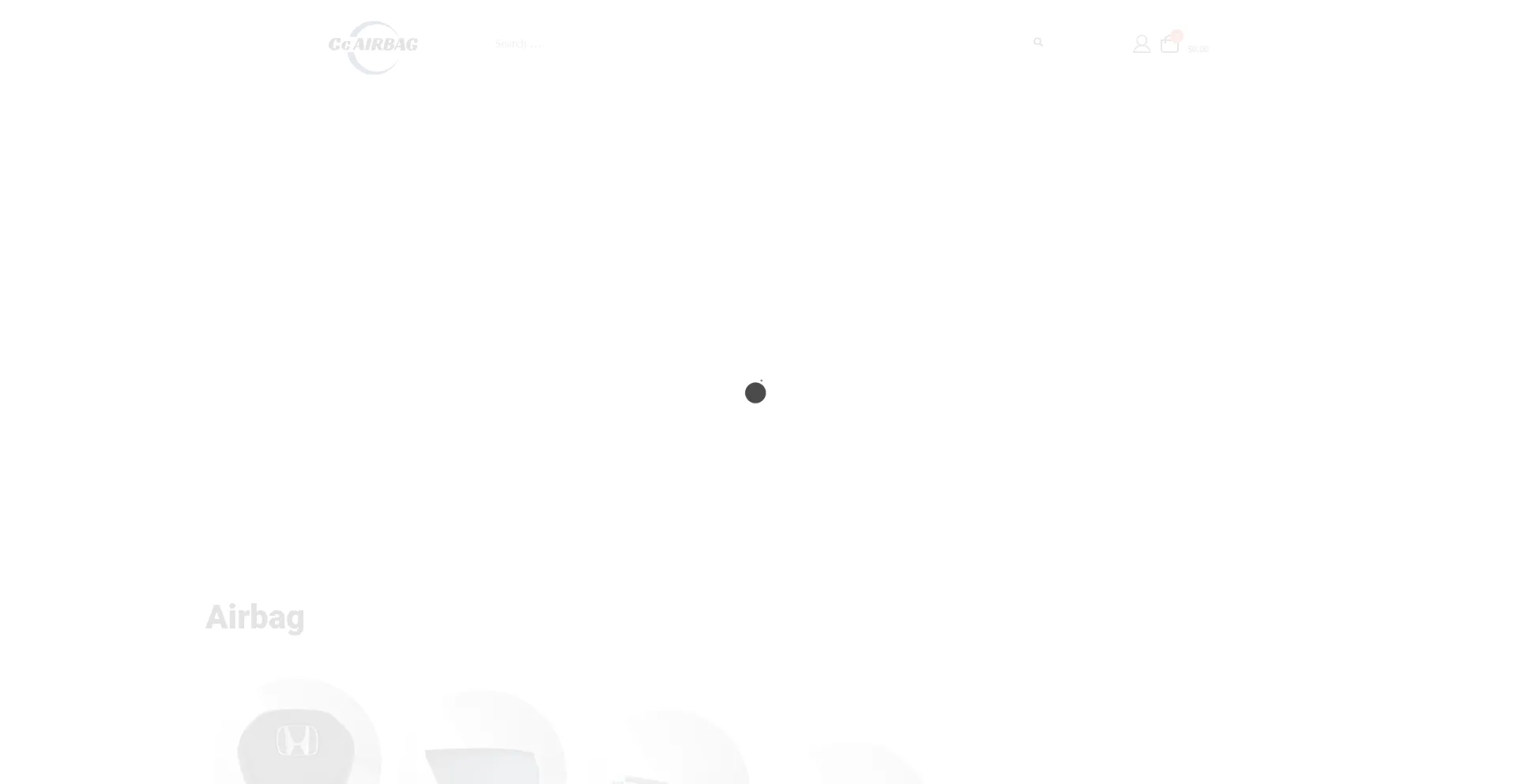 Website screenshot of Ccairbag.com