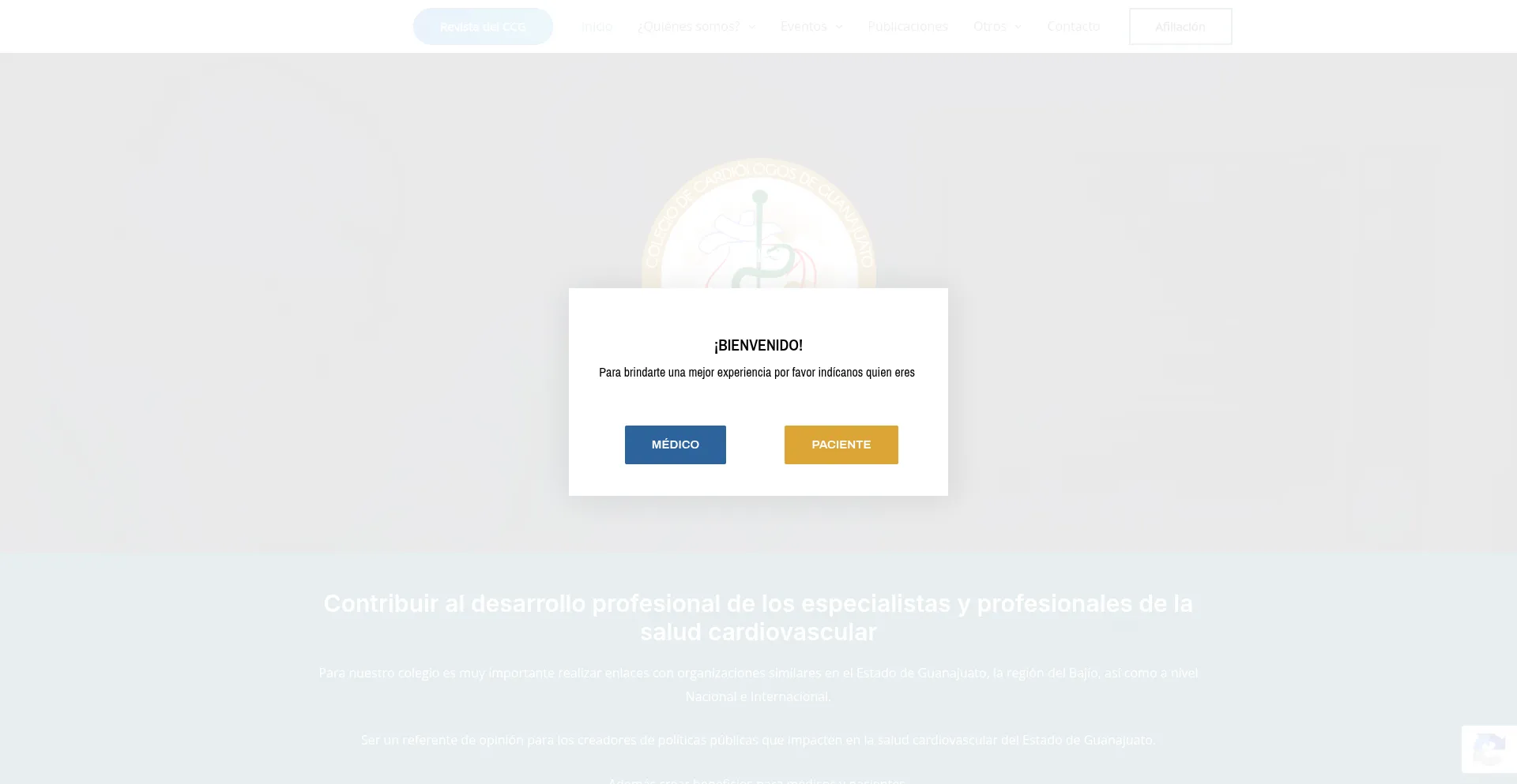 Ccgto.org.mx