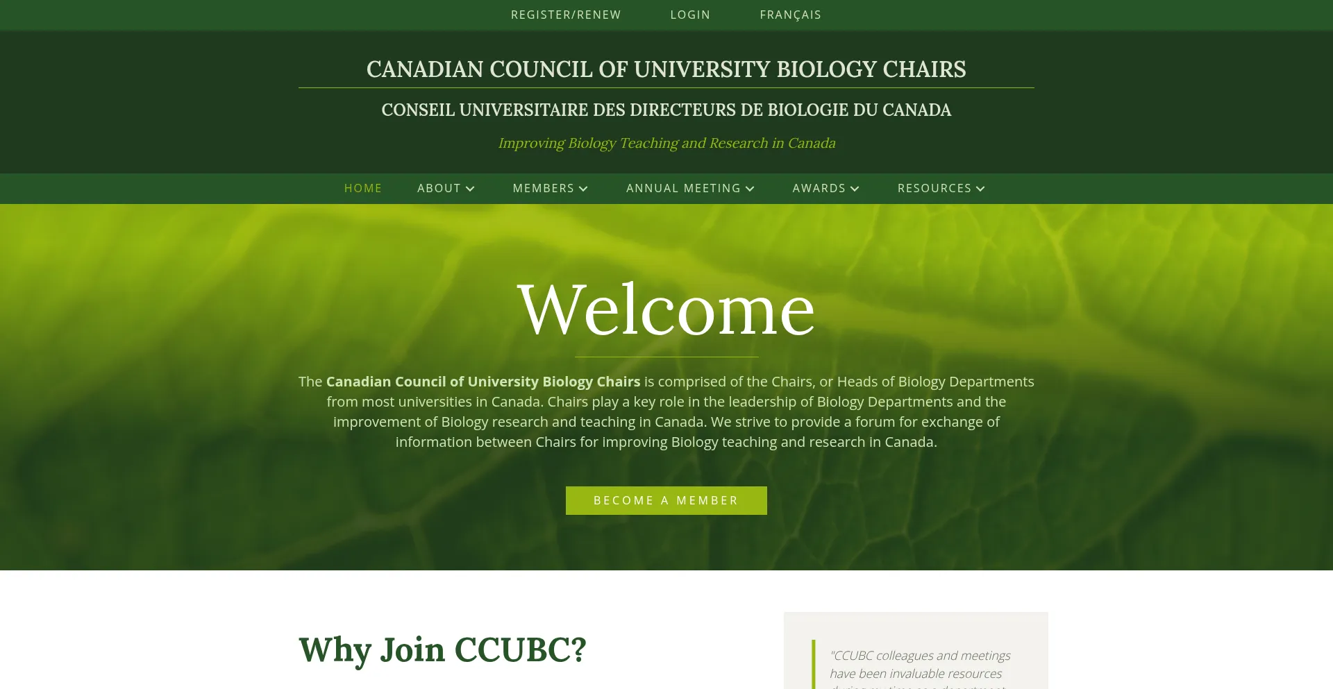 Ccubc.ca