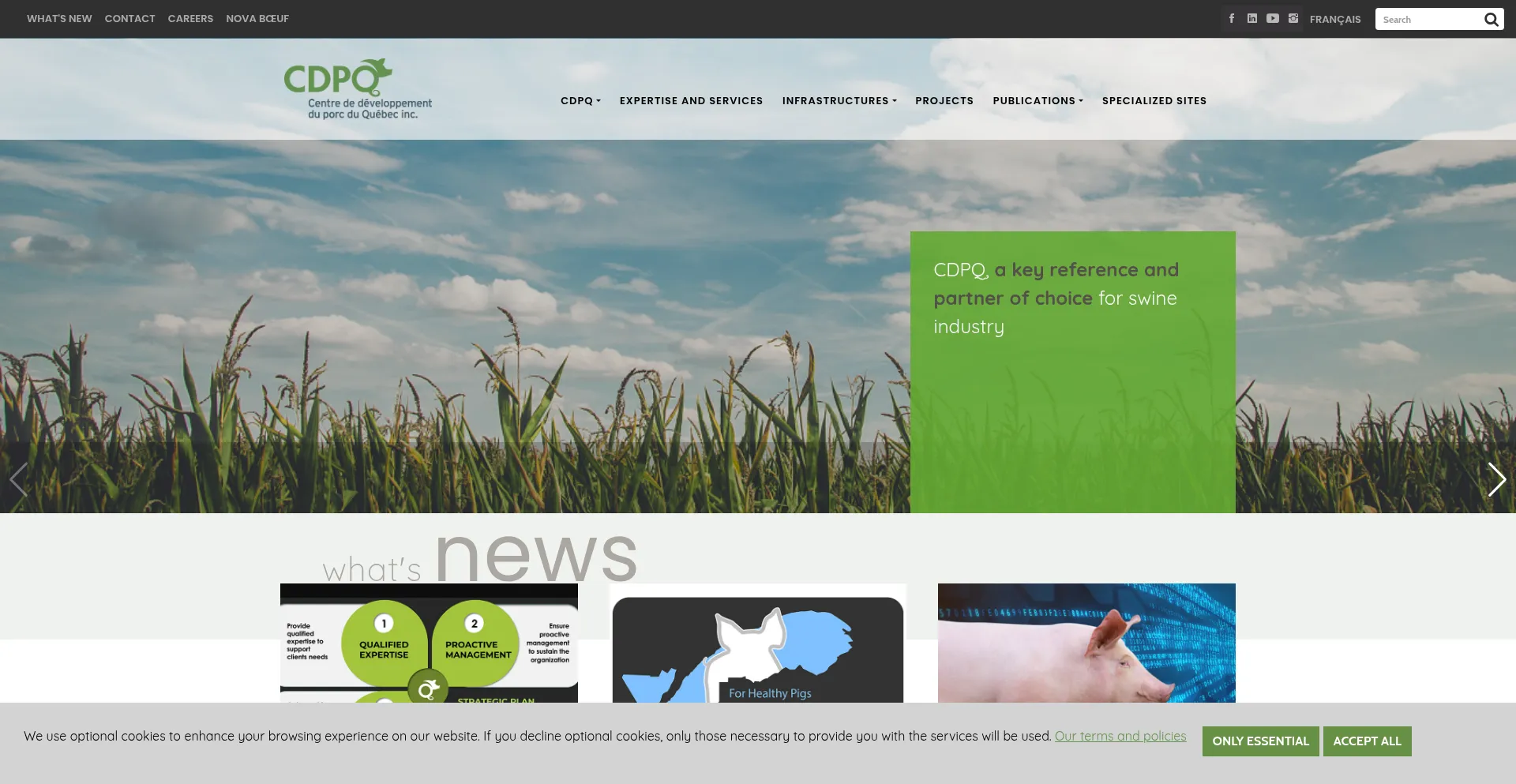 Cdpq.ca
