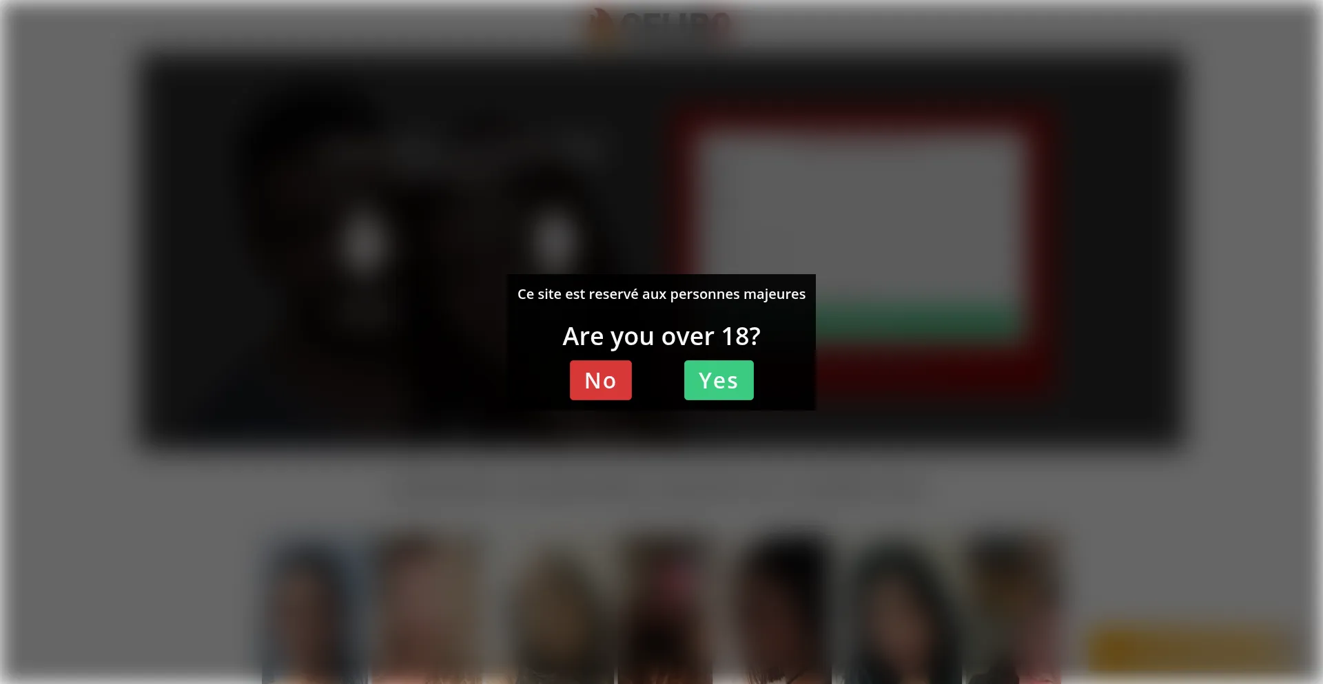 Website screenshot of Celibo.net