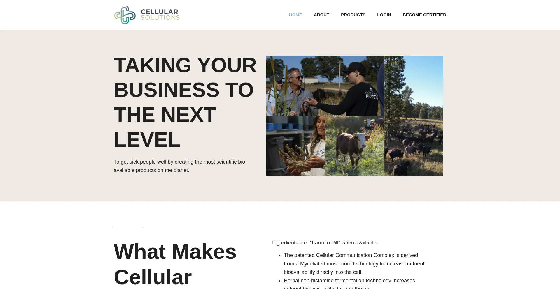 Website screenshot of Cellularsolutions.com