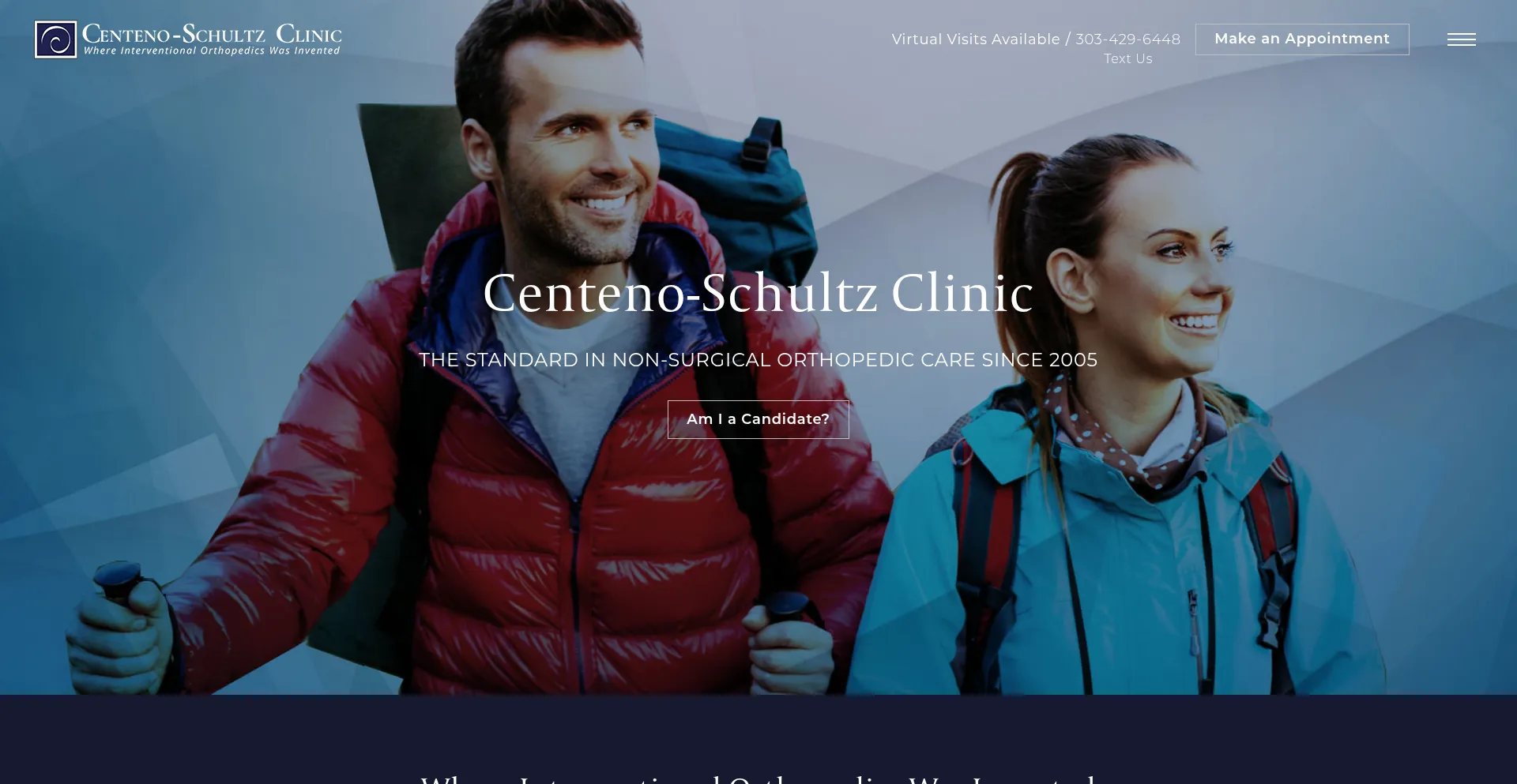 Website screenshot of Centenoschultz.com