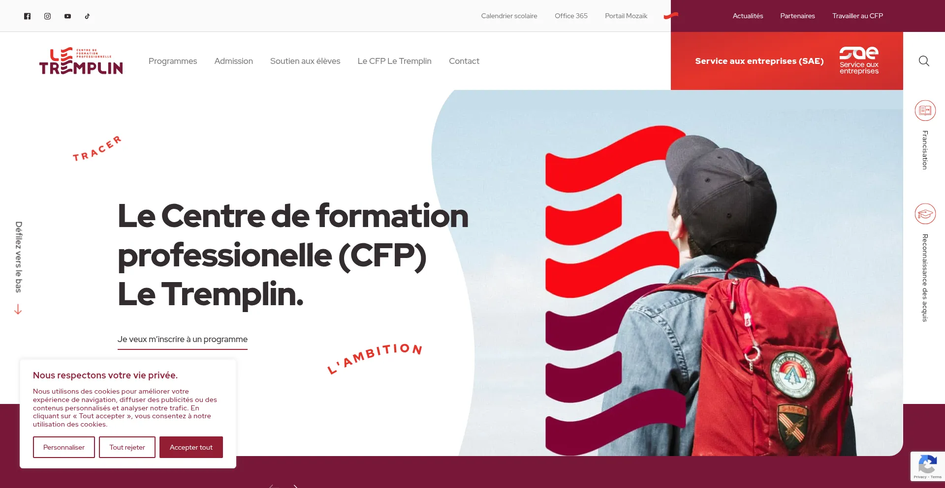 Website screenshot of Cfpletremplin.com