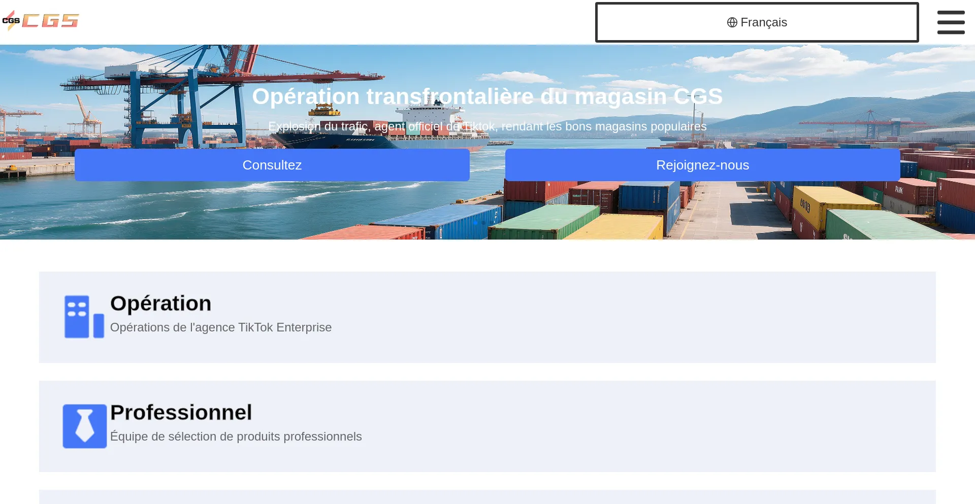Website screenshot of Cgshopping.net
