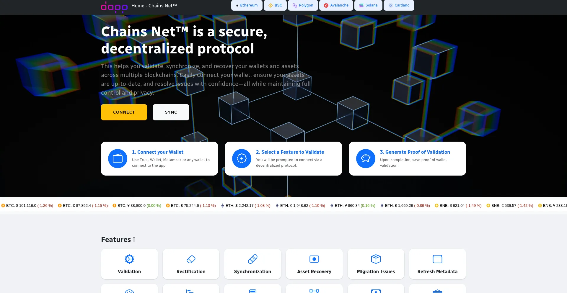 Website screenshot of Chainsnets.com