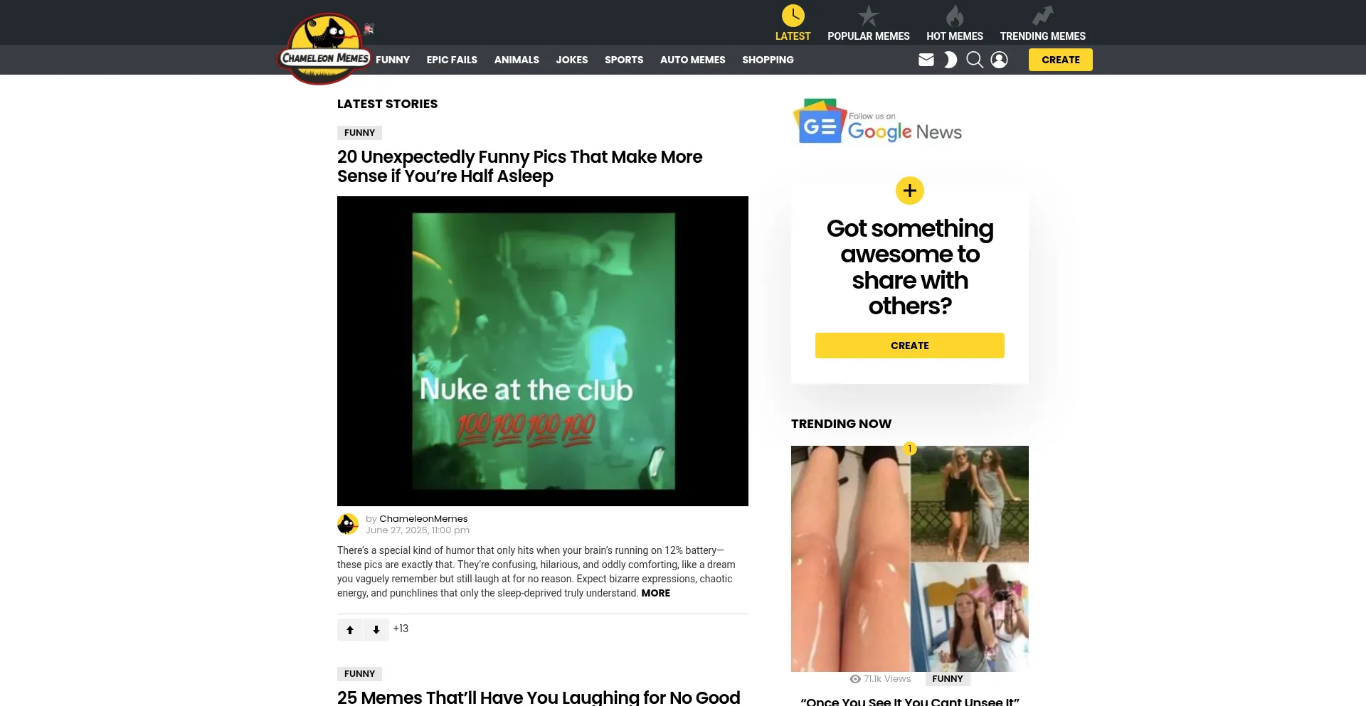 Website screenshot of Chameleonmemes.com