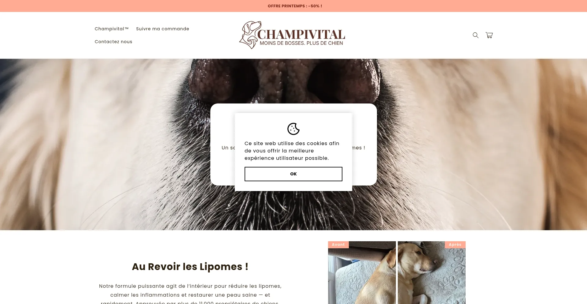 Champivital.com